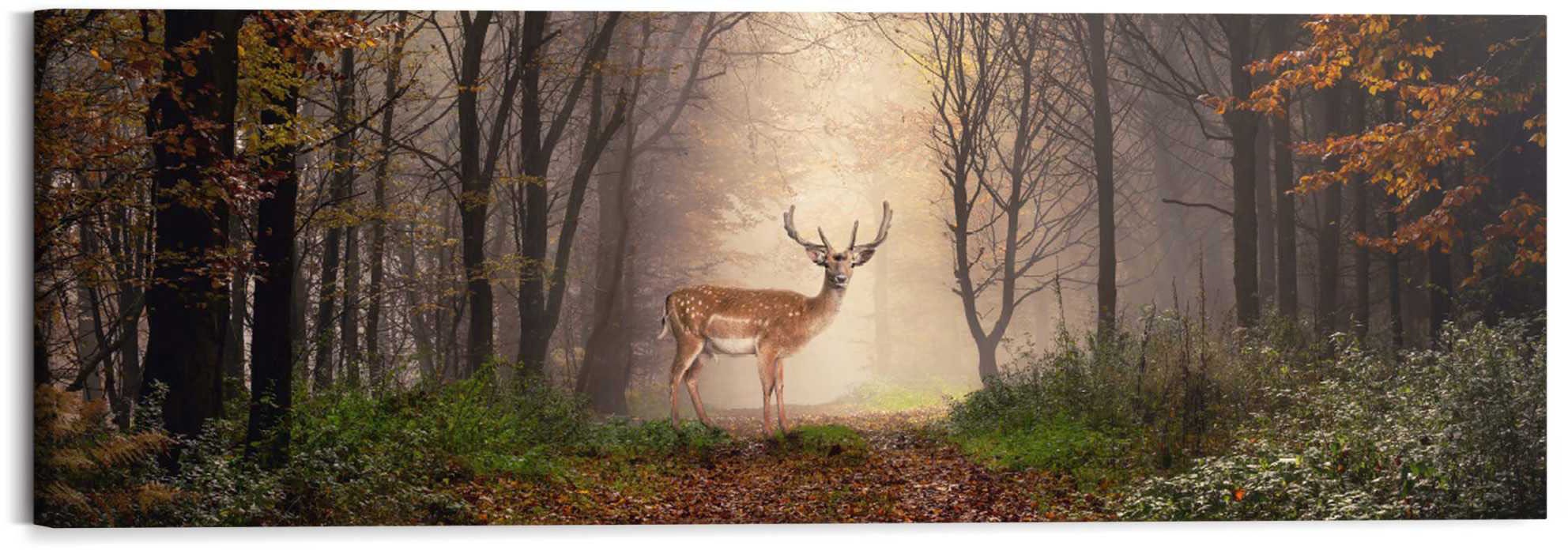 Image of Reinders! Holzbild »Deco Block 40x118 Majestic Deer« bei Ackermann Versand Schweiz