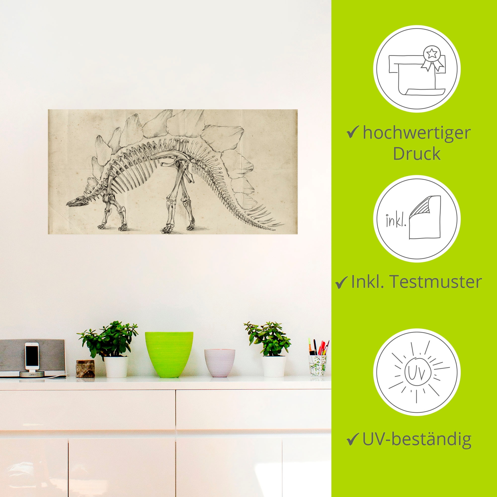 Artland Wandbild »Dinosaurier Lehre III«, Dinosaurier, (1 St.), als Alubild, Outdoorbild, Wandaufkleber in verschied. Grössen