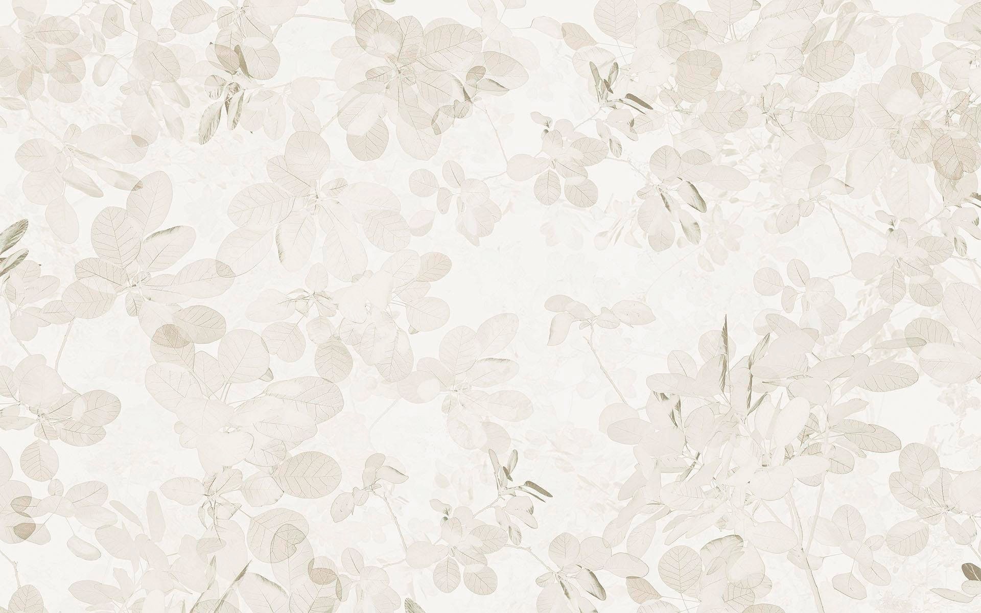 Image of Komar Vliestapete "Digitaldruck Vlies - Sheer Grey - Grösse 400 x 250 cm" bedruckt glatt Wohnzimmer, Schlafzimmer