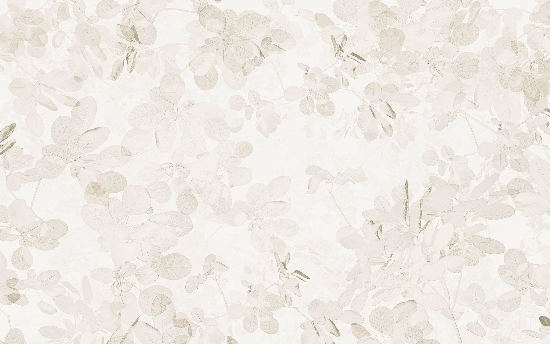Image of Komar Vliestapete »Sheer Grey«, naturalistisch bei Ackermann Versand Schweiz