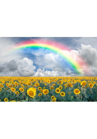 Fototapete »Rainbow Sunflowers«
