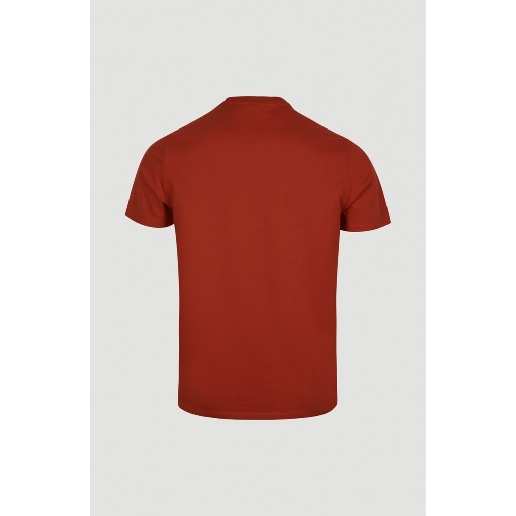 O'Neill T-Shirt »Jack`S Utility Ss T-Shirt«