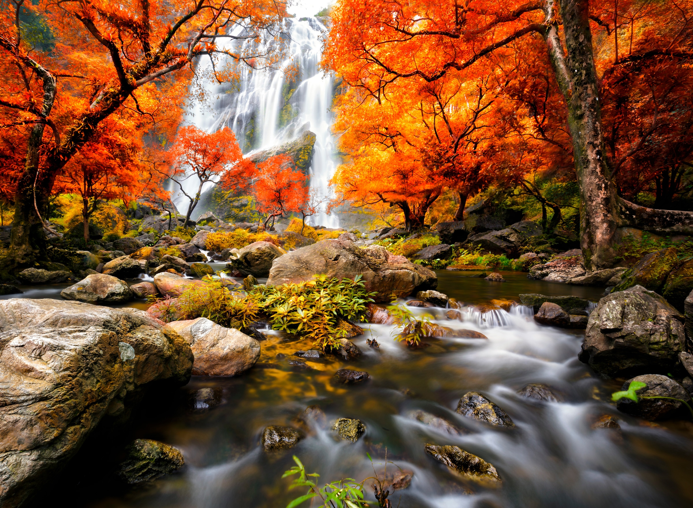 Image of Papermoon Fototapete »Autumn Waterfall« bei Ackermann Versand Schweiz