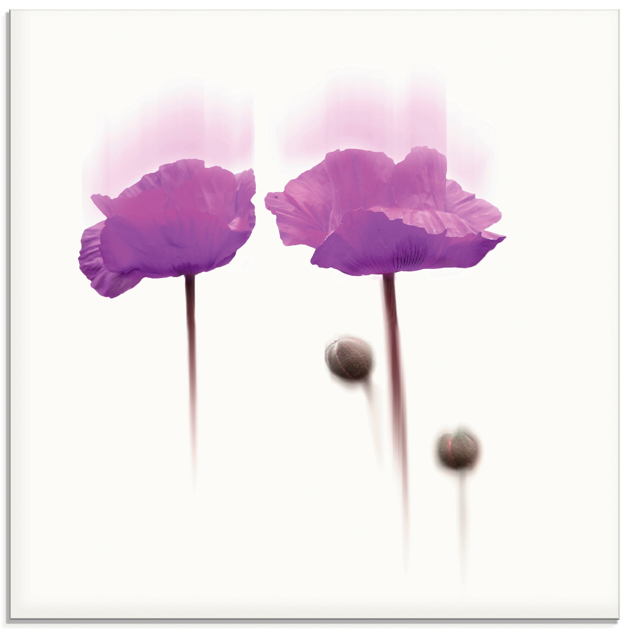 Image of Artland Glasbild "Blüte abstrakt I" Blumen 1 Stk. tlg. in verschiedenen Grössen