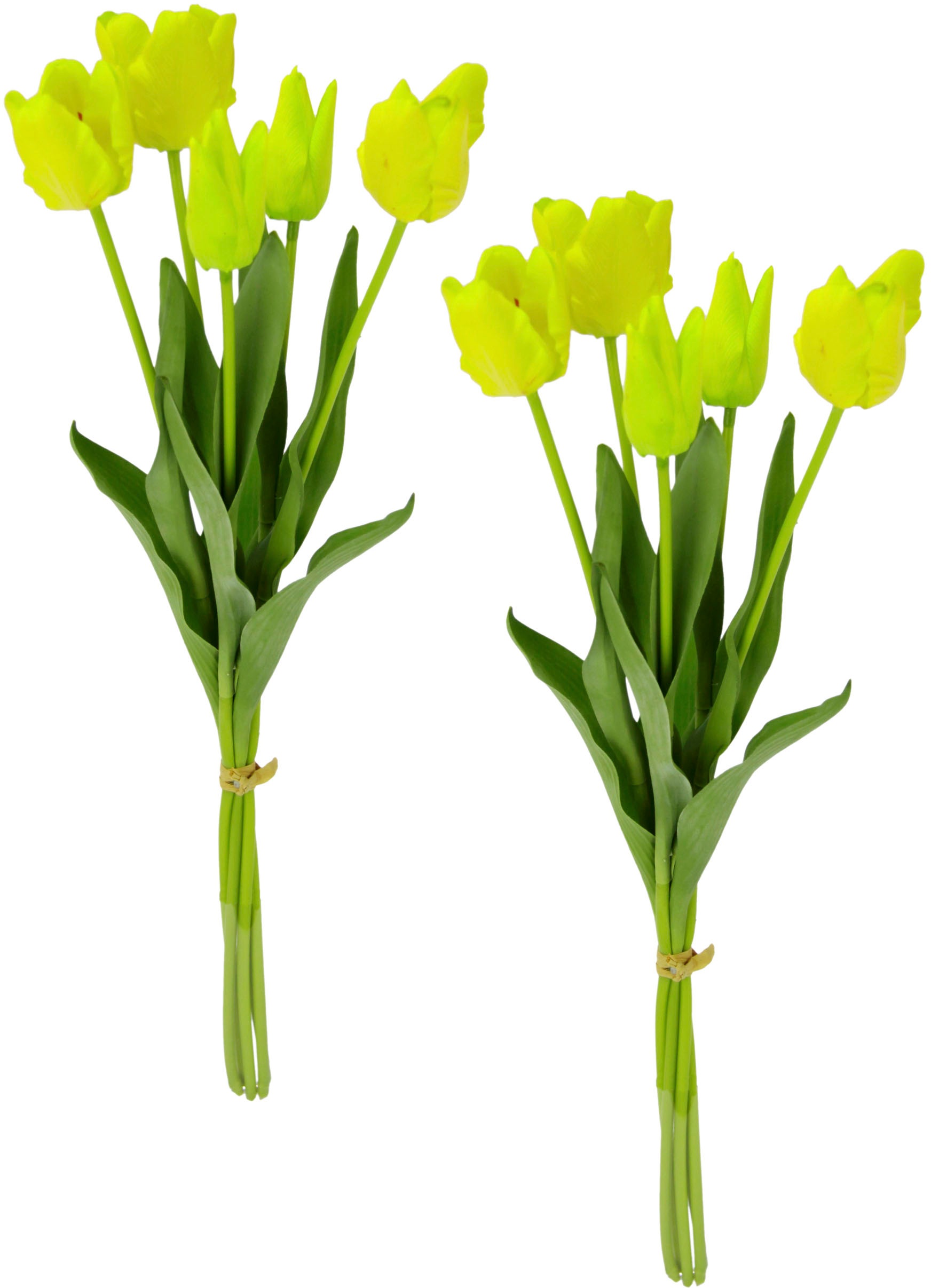 Image of I.GE.A. Kunstblume »Tulpenbund«, (2 St.), Real-Touch, 2er Set bei Ackermann Versand Schweiz