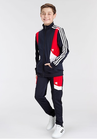 adidas Sportswear Trainingsanzug »COLORBLOCK 3-STREIFEN«, (Set, 2 tlg.) kaufen