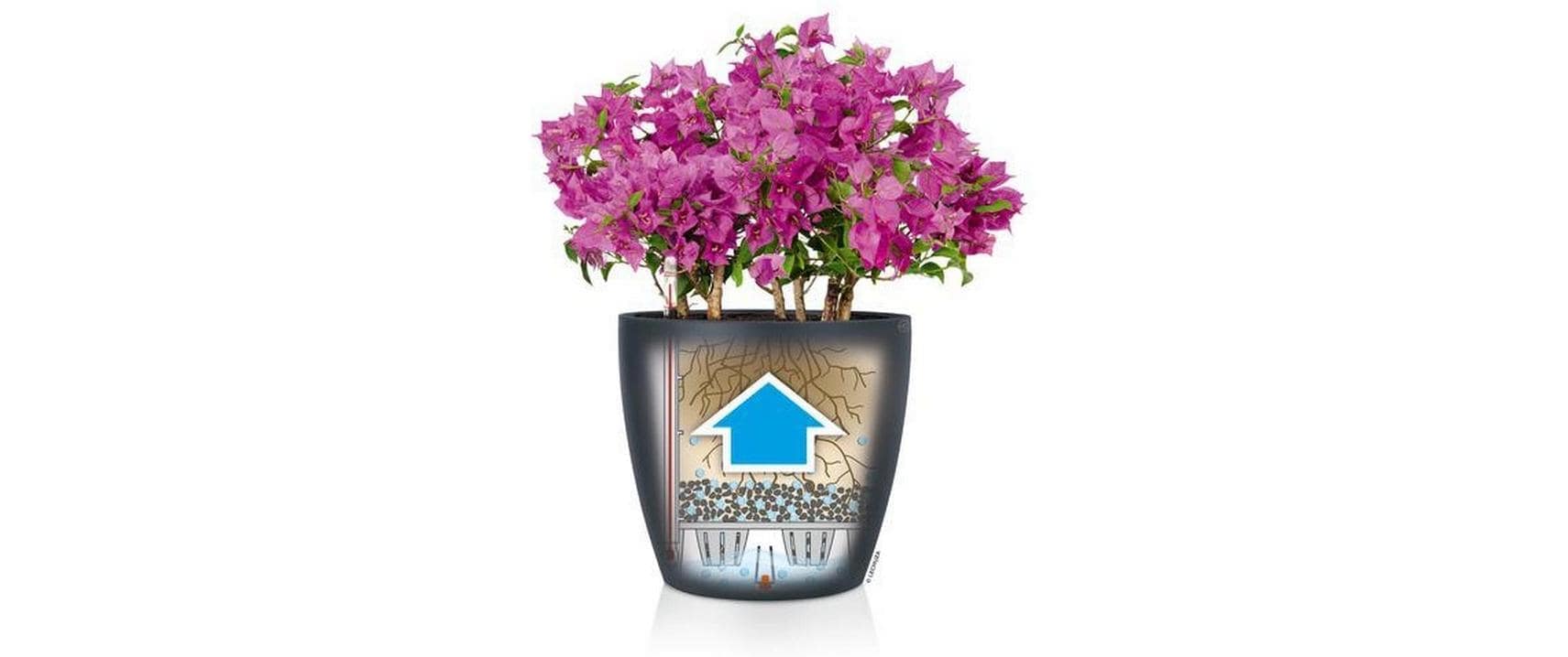   Blumentopf »Lechuza CLASSICO Color 28«