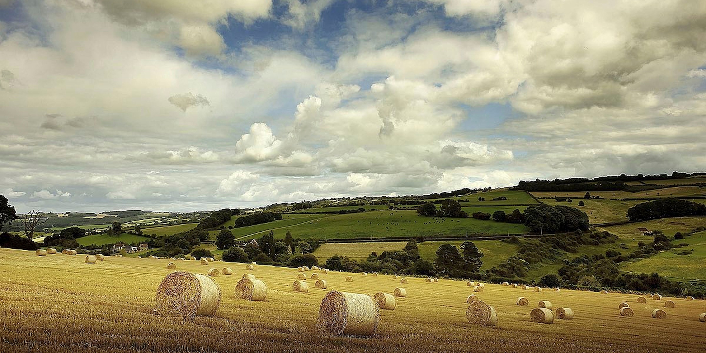 Image of Home affaire Kunstdruck »G. ADELINO, Sommerzeit«, (1 St.) bei Ackermann Versand Schweiz