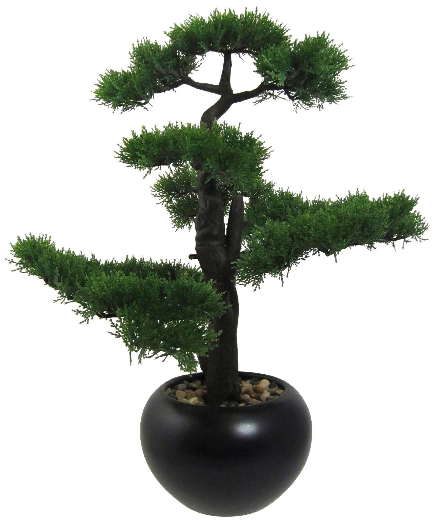 Image of Creativ green Kunstpflanze »Bonsai«, (1 St.) bei Ackermann Versand Schweiz