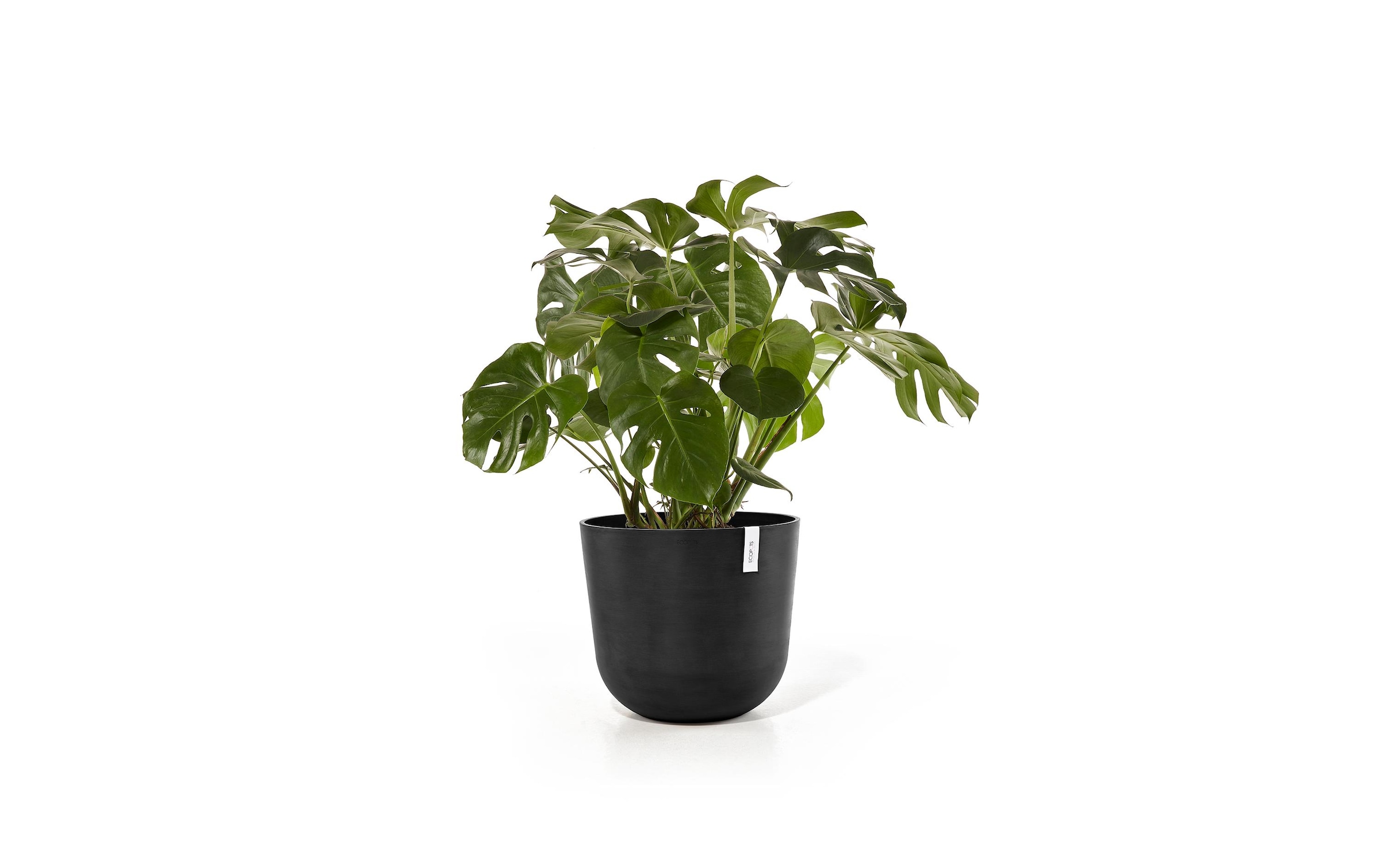 ECOPOTS Blumentopf »Oslo 55 Dunkel«
