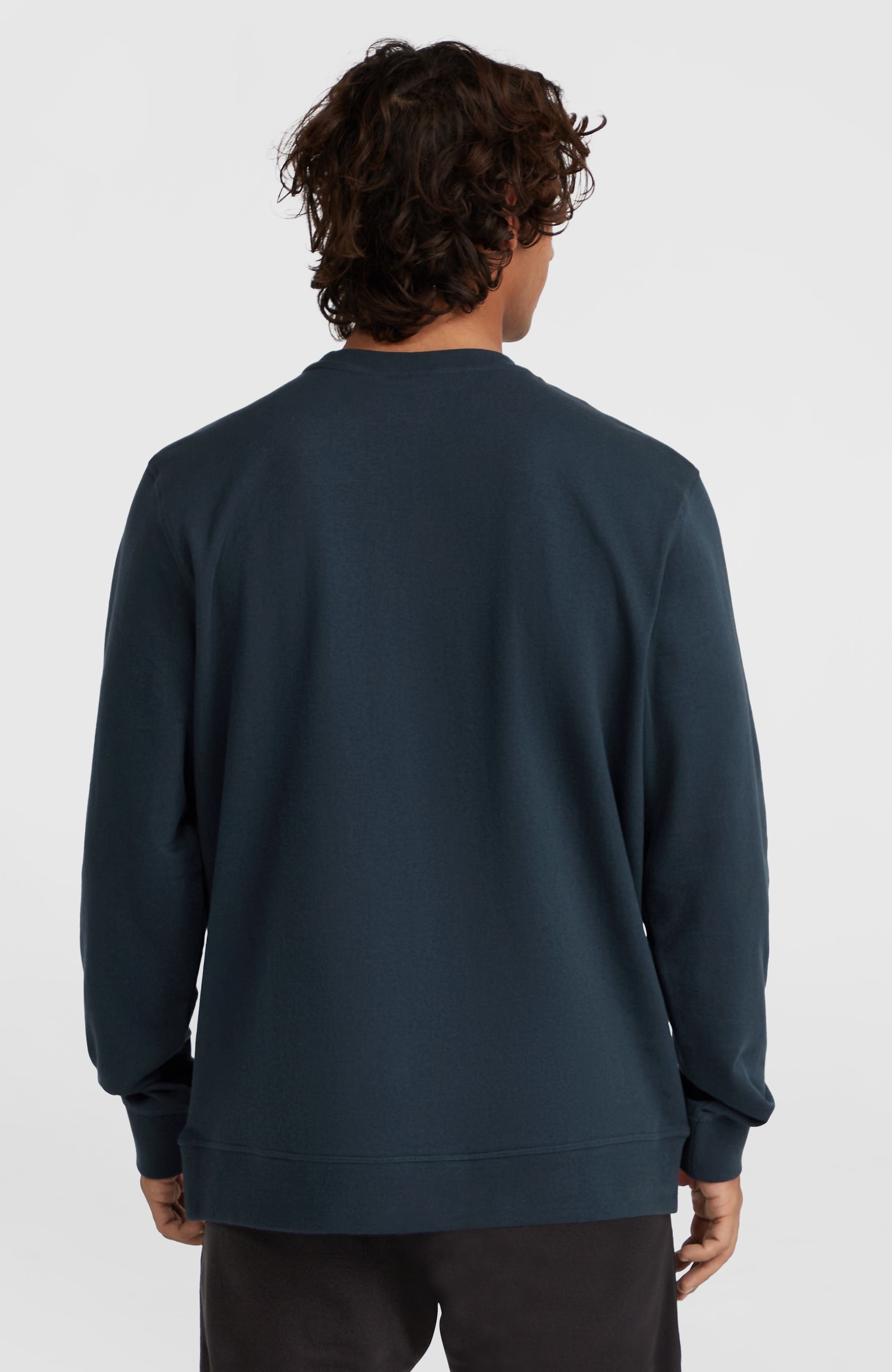 O'Neill Sweatshirt »O'NEILL LOGO CREW«