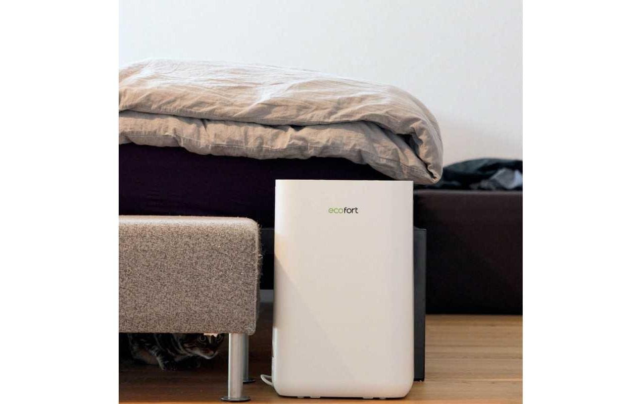 Luftentfeuchter »Ecofort ecoQ DryAir 20L«, für 50 m³ Räume, Tank 4,5 l