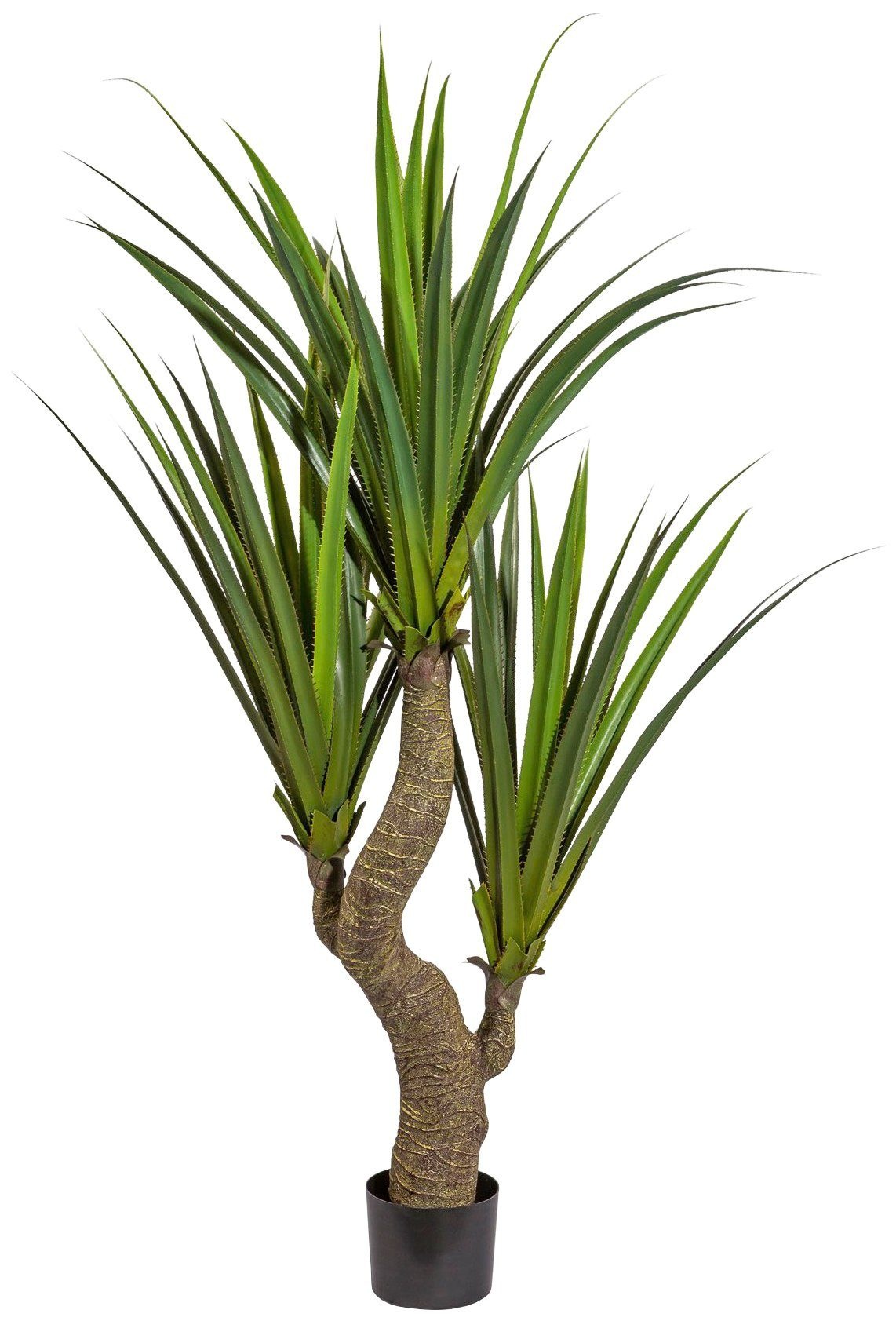 Image of Creativ green Kunstpflanze »Agave«, (1 St.) bei Ackermann Versand Schweiz