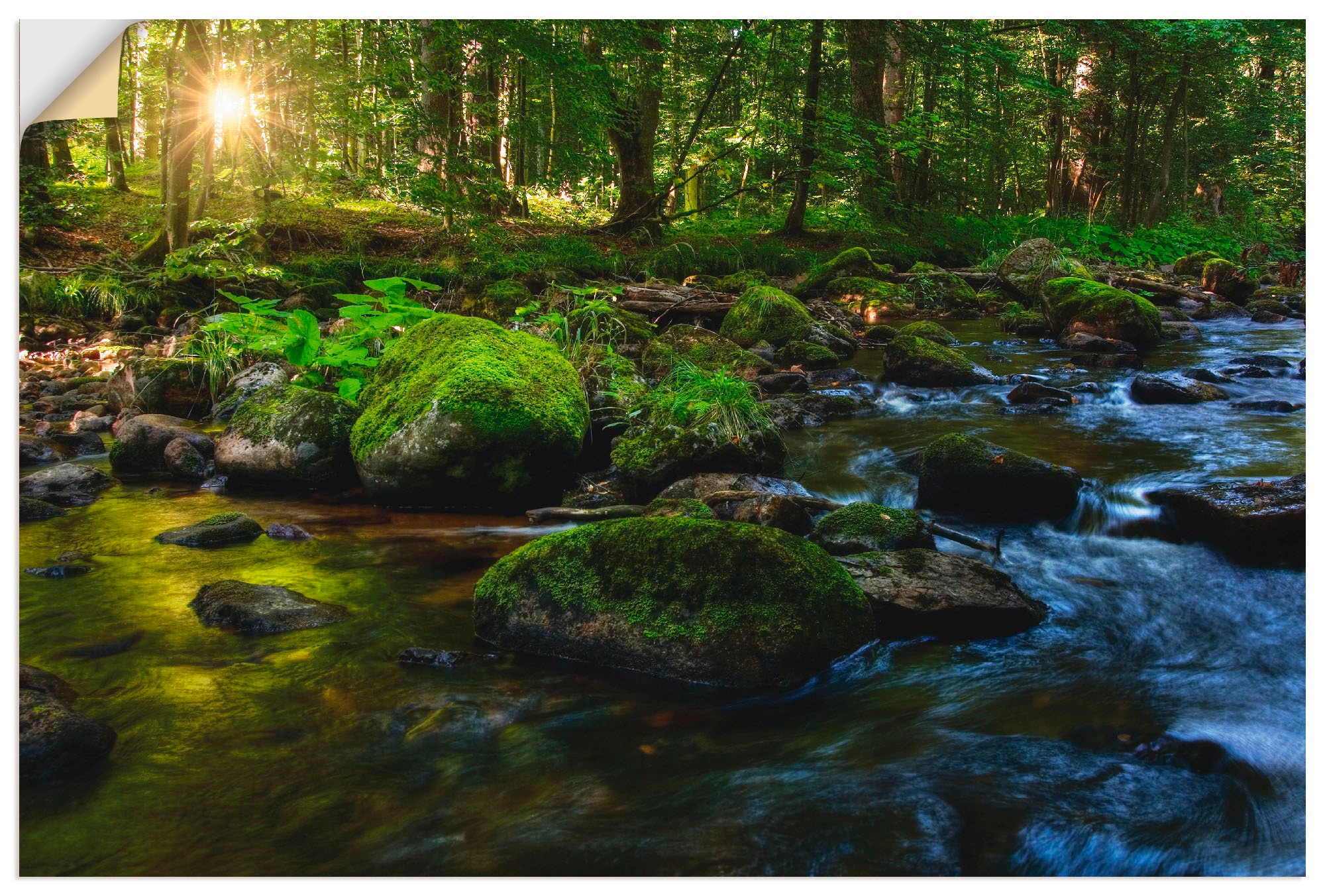 Image of Artland Wandbild »Feenland«, Wald, (1 St.), in vielen Grössen & Produktarten - Alubild / Outdoorbild für den Aussenbereich, Leinwandbild, Poster, Wandaufkleber / Wandtattoo auch für Badezimmer geeignet bei Ackermann Versand Schweiz