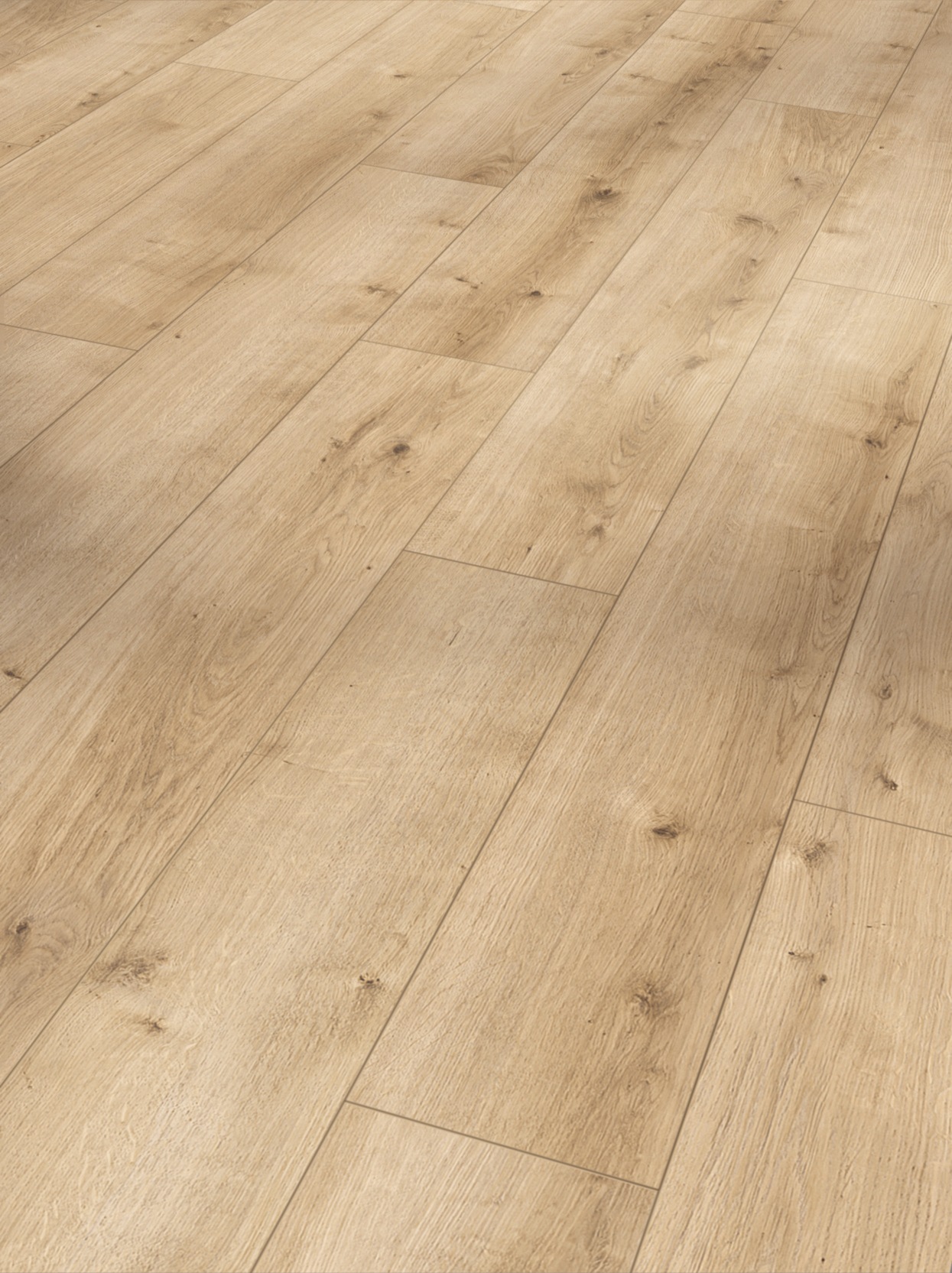 Image of PARADOR Designboden »Modular ONE«, (Packung), Eiche pure Hell, 194 x 1285 x 8 mm, 2,493 m² bei Ackermann Versand Schweiz
