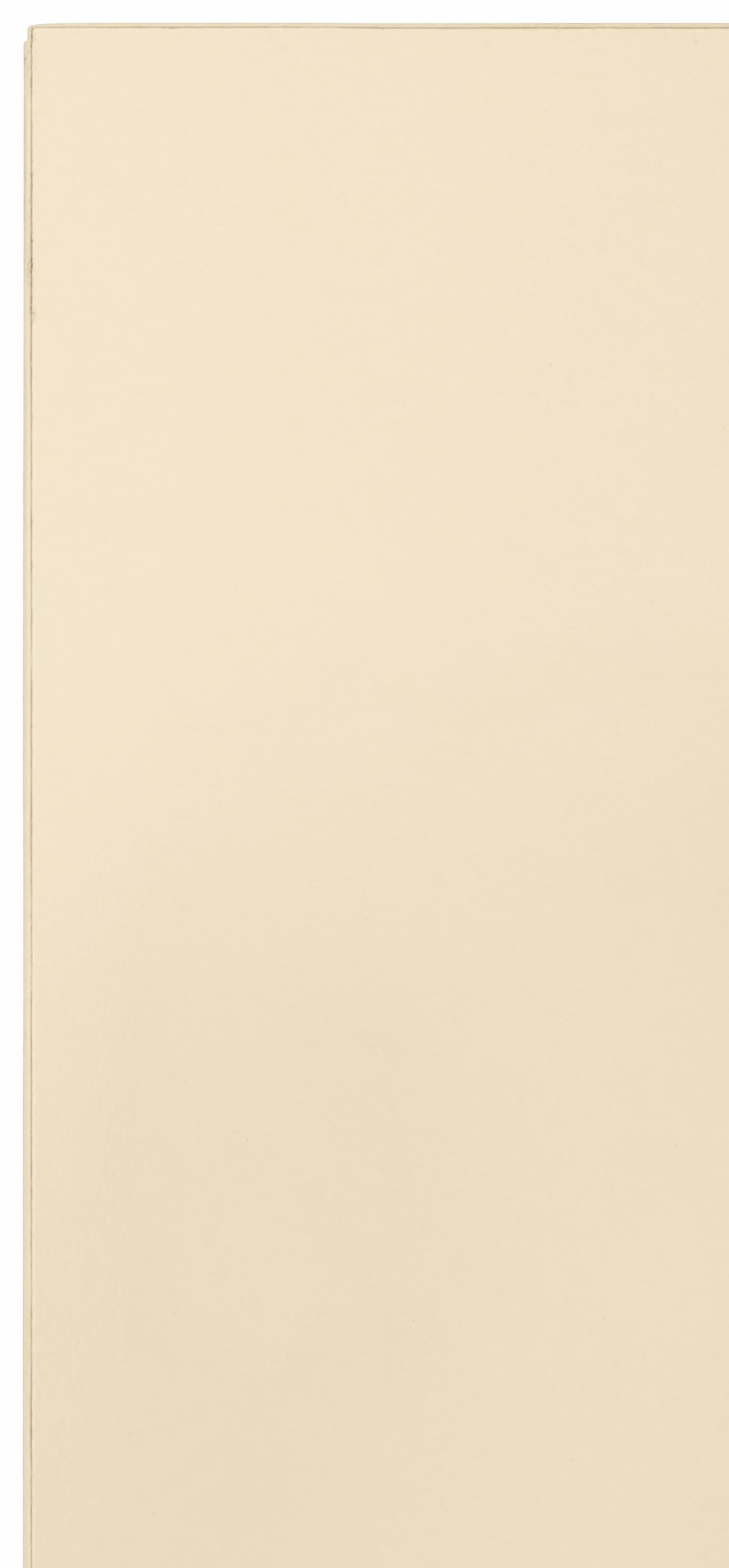 wiho Küchen Hängeschrank »Flexi«, Breite 100 cm