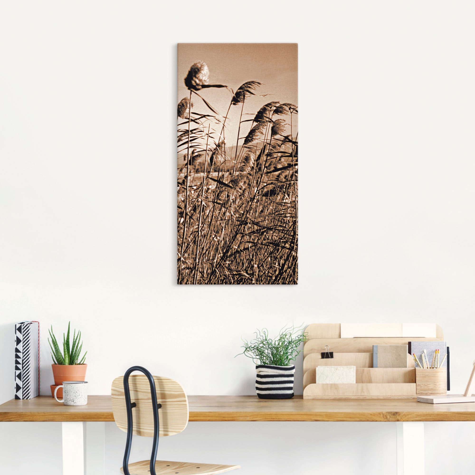 Artland Wandbild »Sepia Gräser II«, Gräser, (1 St.), als Leinwandbild in verschied. Grössen