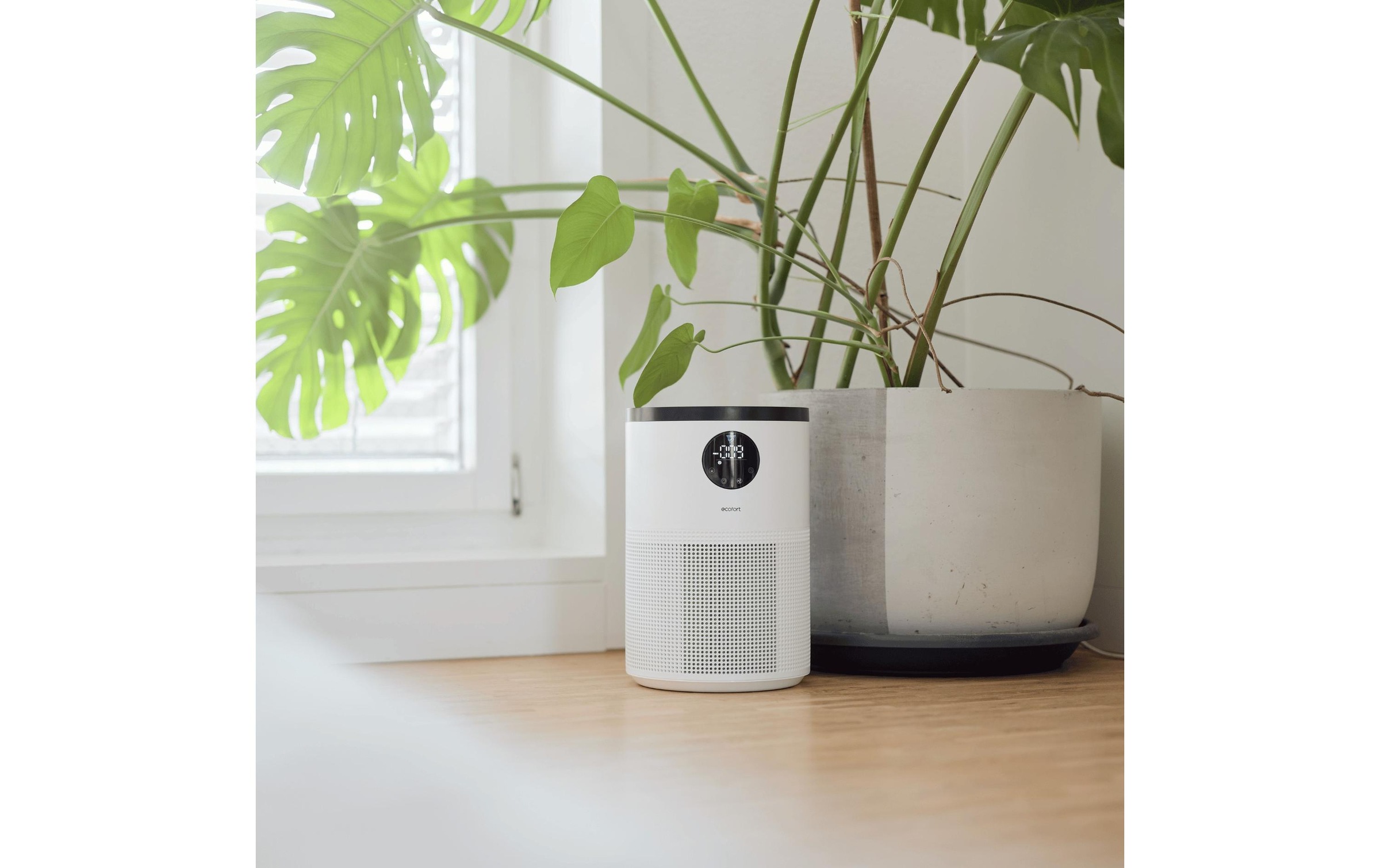 Luftreiniger »Ecofort Luftreiniger ecoQ CleanAir 300«, für 50 m² Räume