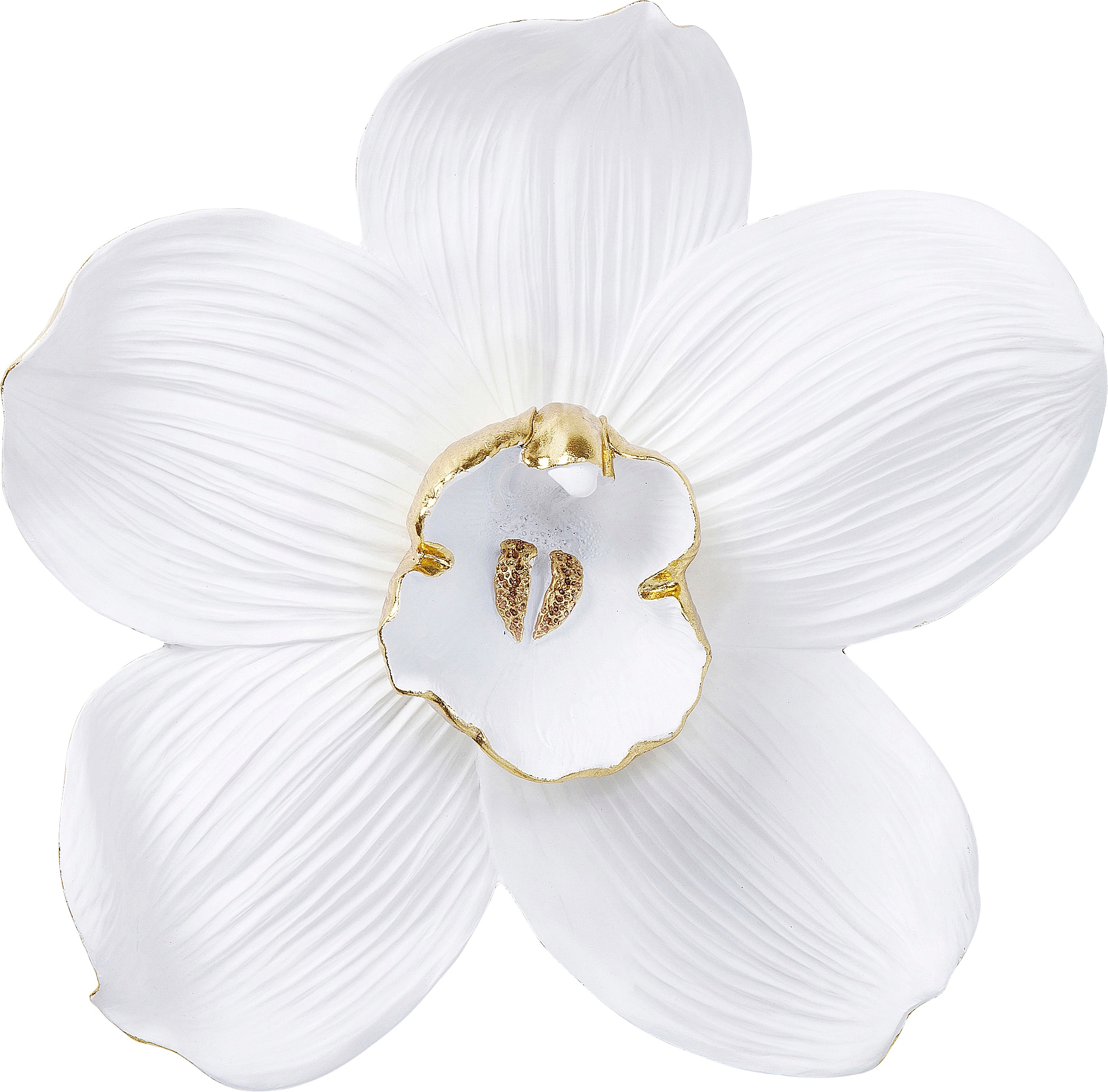 Image of Kare Design Wanddekoobjekt "Wandschmuck Orchid Weiss 54cm"