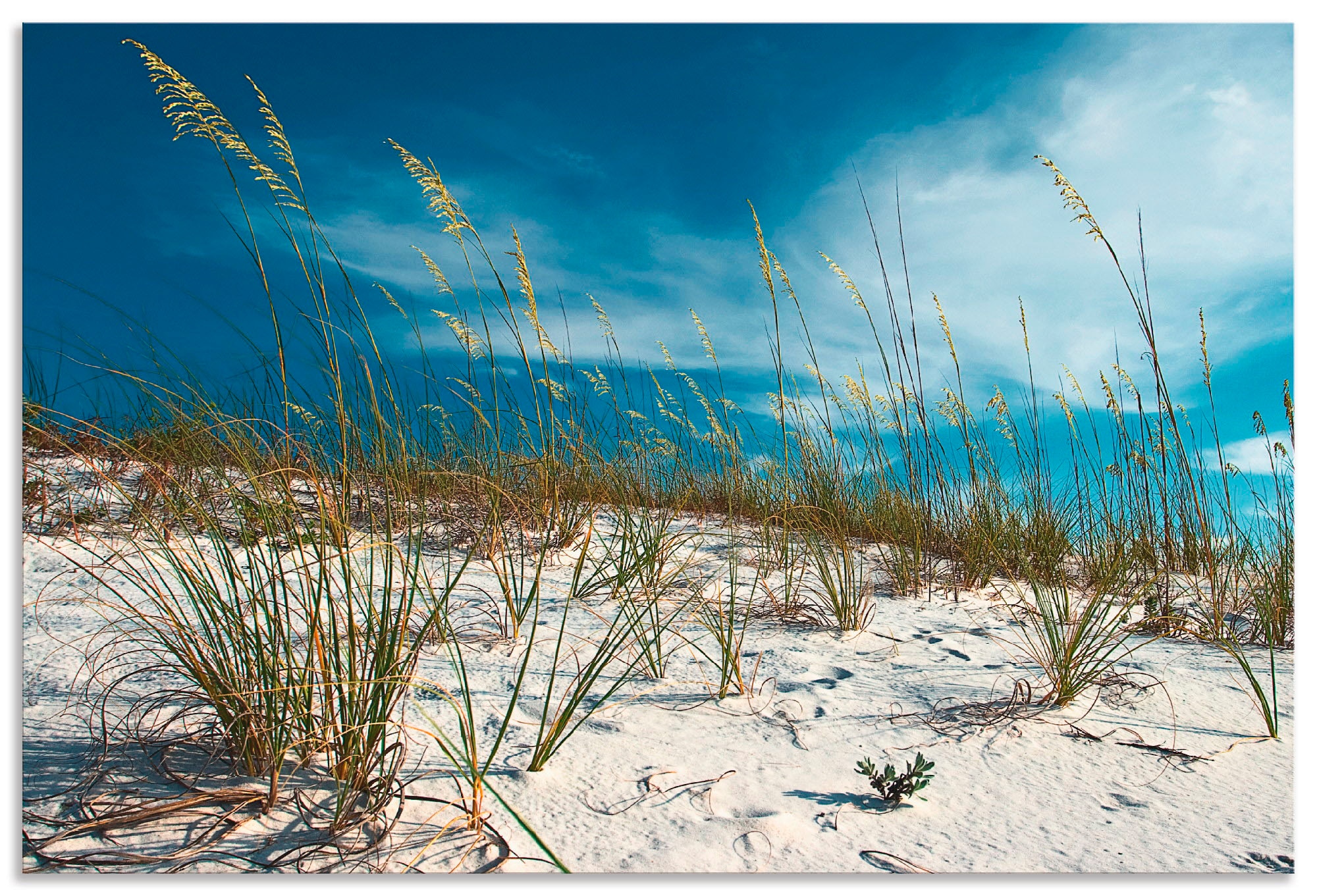oder Grössen Alubild, in Poster »Sanddüne Wandaufkleber Strand, kaufen St.), und versch. Artland (1 Wandbild Leinwandbild, Gräser«, als