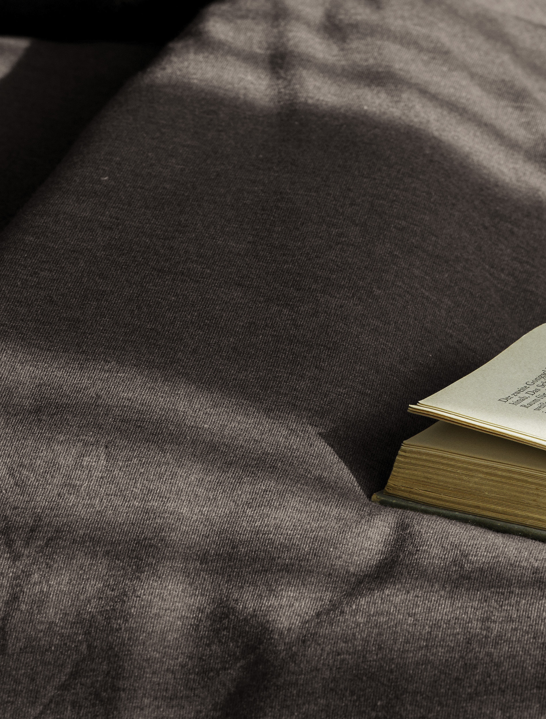 BIERBAUM Linge de lit »4135« 2 cuis tlg. Jersey-Melange, 100 % Baumwolle, bügelfrei