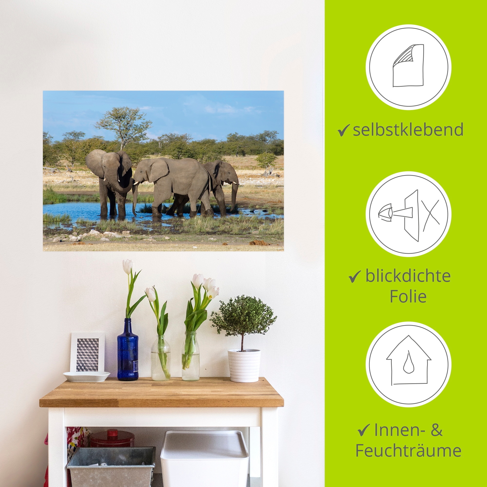 Artland Wandbild »Afrikanischer Elefant EtoshaNationalpark«, Elefanten Bilder, (1 St.), als Leinwandbild, Wandaufkleber in verschied. Grössen