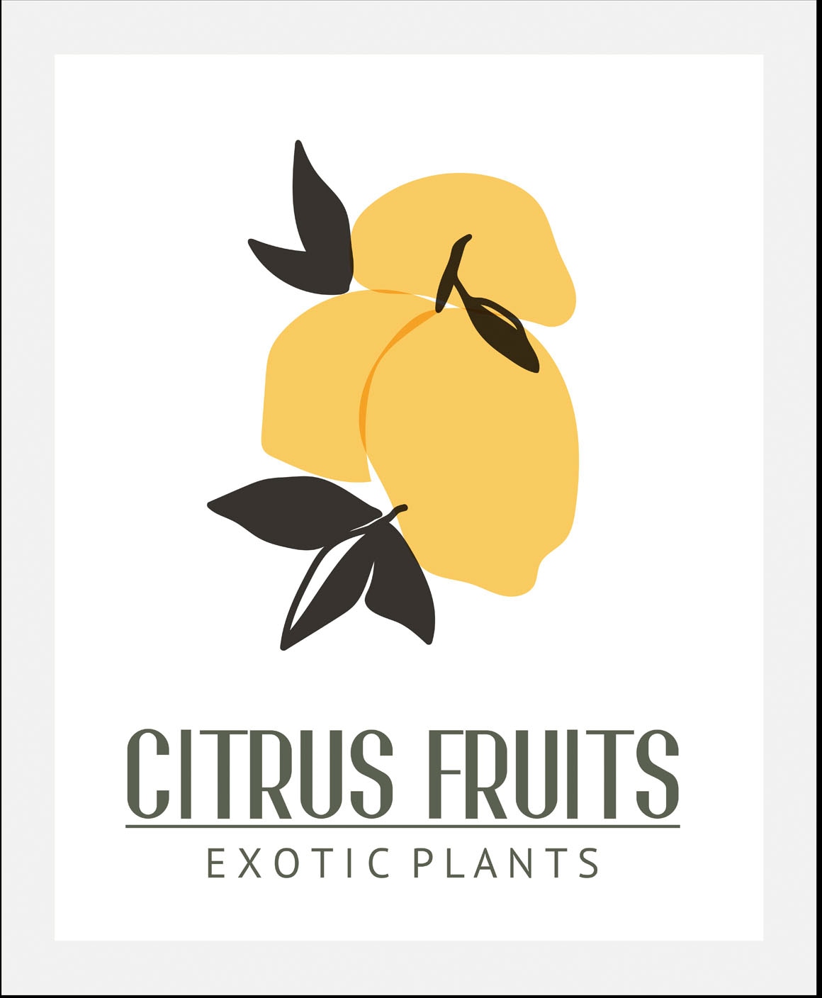 queence Bild »Citrus Fruits«, (1 St.), gerahmt