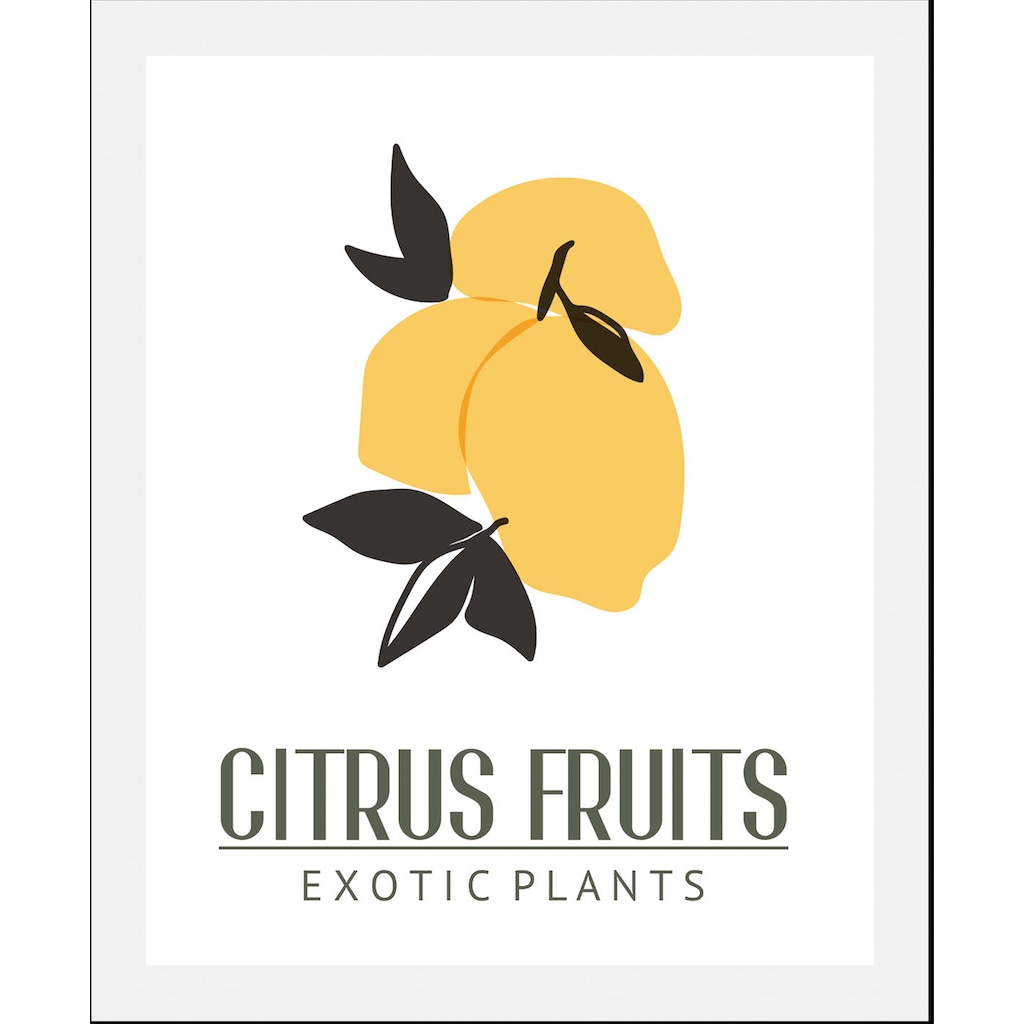 queence Bild »Citrus Fruits«, (1 St.)