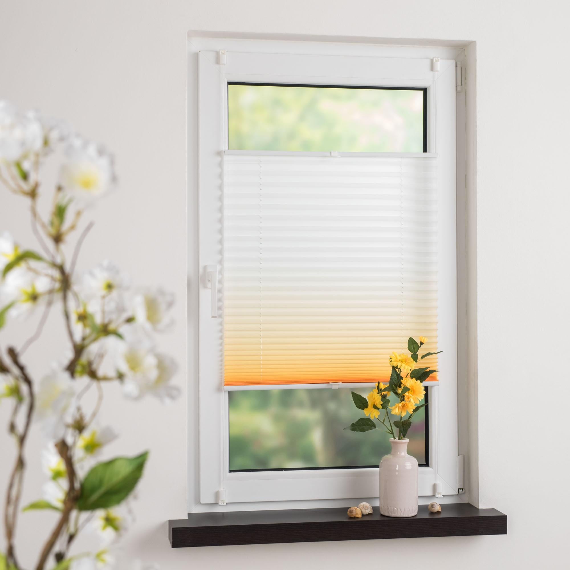 Liedeco Plissee »Farbverlauf« Lichtschutz ohne Bohren verspannt