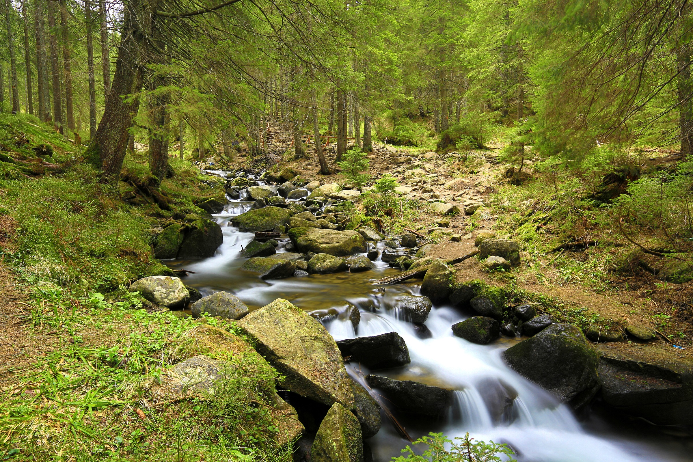 Image of Papermoon Fototapete »Mountain River«, matt, BlueBack, 7 Bahnen, 350 x 260 cm bei Ackermann Versand Schweiz