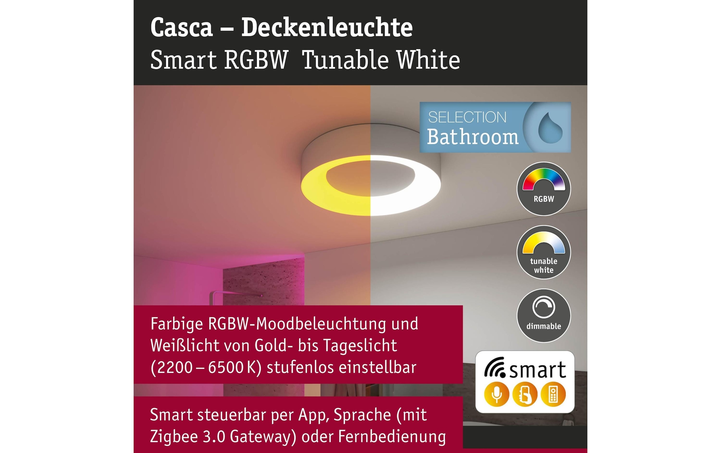 Paulmann Deckenleuchte »Deckenleuchte Casca IP44, Alu matt« LED-Modul RGB | warmweiss - kaltweiss