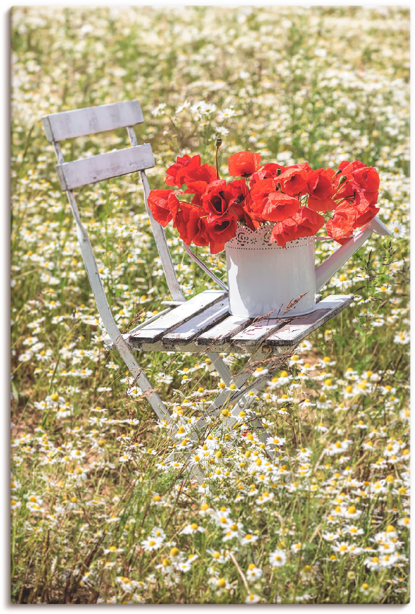 Image of Artland Wandbild »Stuhl im Kamille Feld mit Mohnblüten«, Blumenwiese, (1 St.), in vielen Grössen & Produktarten - Alubild / Outdoorbild für den Aussenbereich, Leinwandbild, Poster, Wandaufkleber / Wandtattoo auch für Badezimmer geeignet bei Ackermann Vers