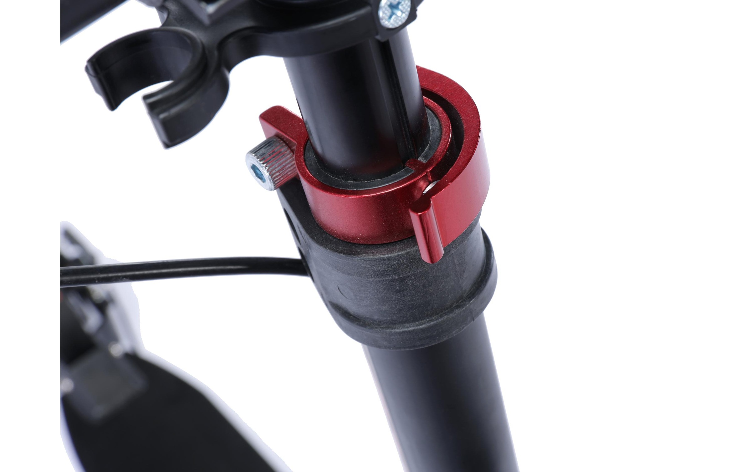 Scooter »18A, BODYSWISS«