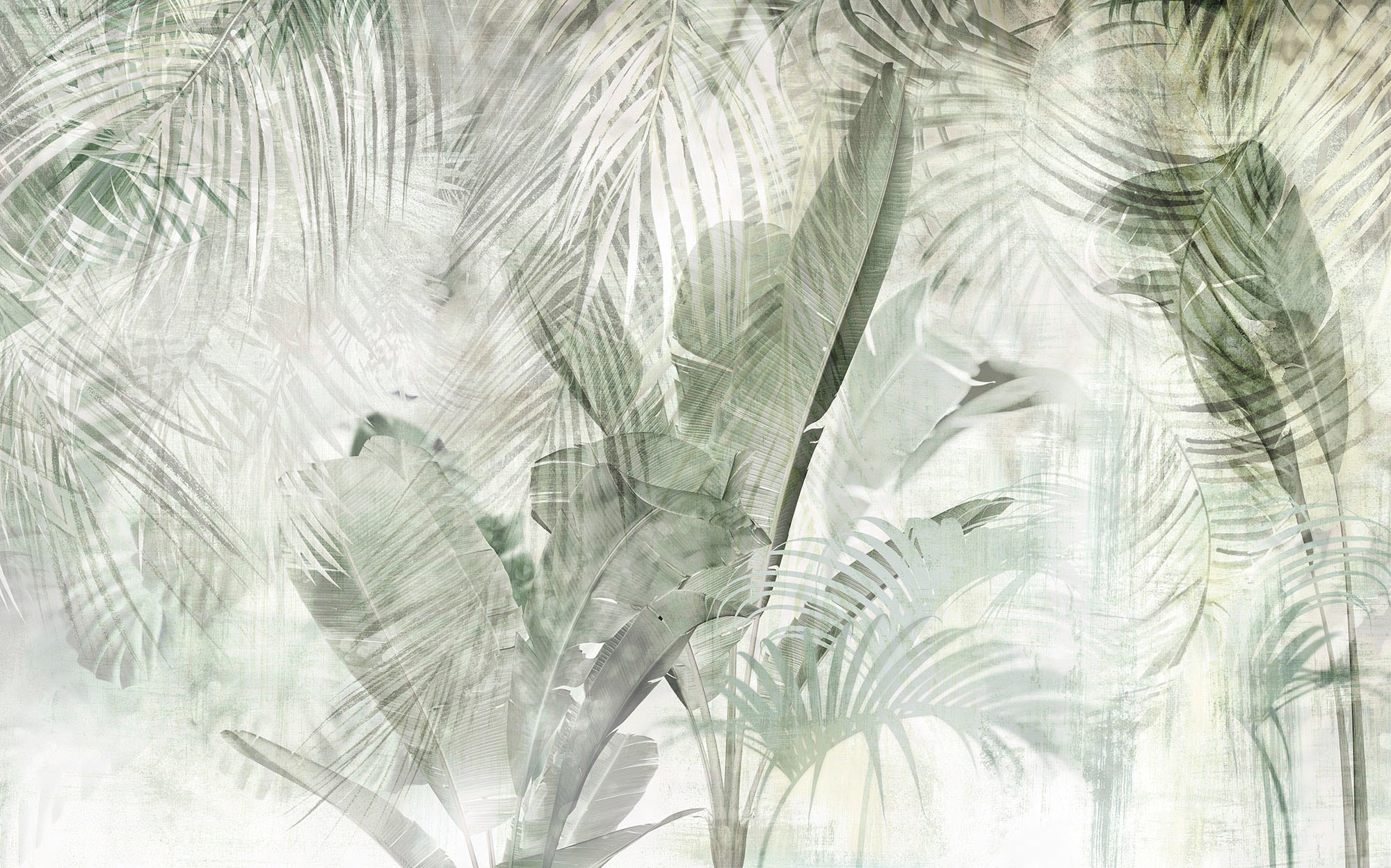 Image of Komar Vliestapete "Digitaldruck Vlies - Botanical Boho - Grösse 400 x 250 cm" bedruckt glatt Wohnzimmer, Schlafzimmer