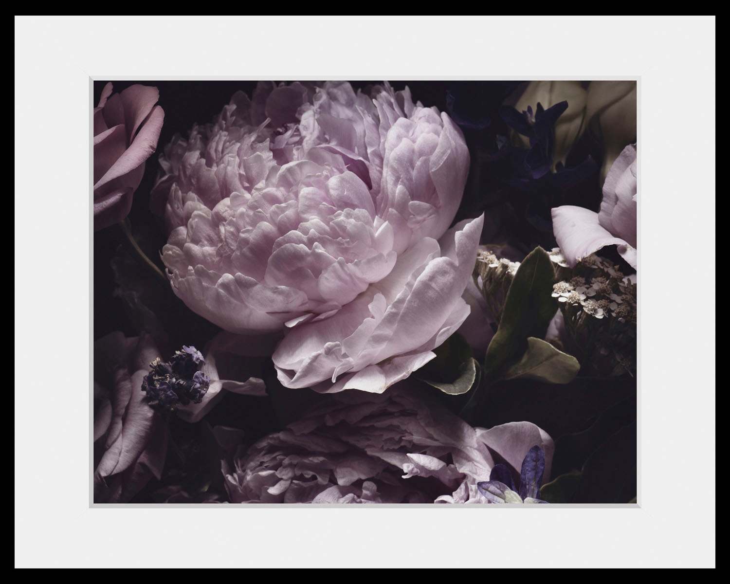 Image of queence Bild »Shakira«, Blumen, (1 St.) bei Ackermann Versand Schweiz