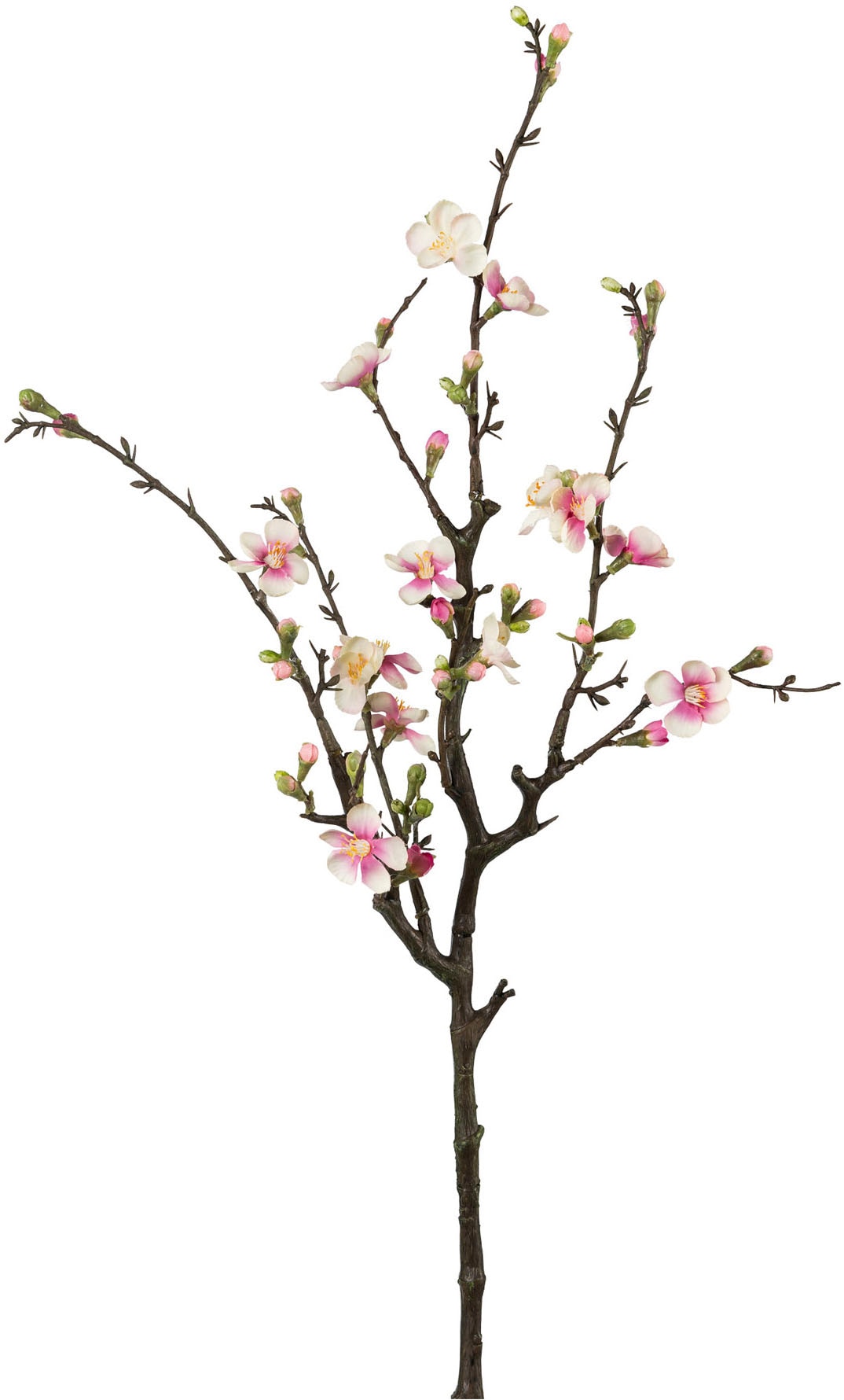 Creativ green Kunstzweig »Quittenzweig« mit zarten Blüten