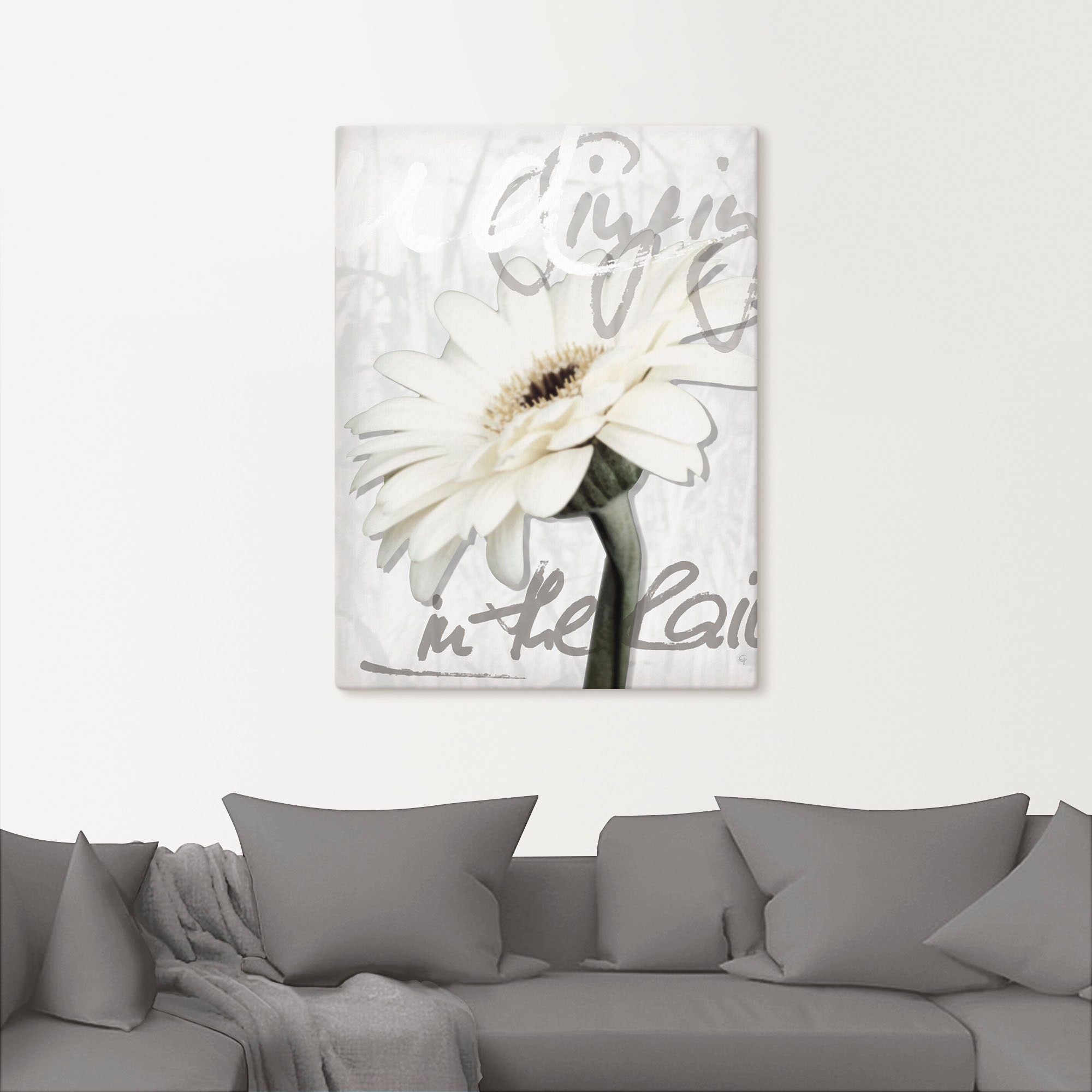 Artland Wandbild »Gerbera« Blumenbilder 1 Stk. tlg. als Leinwandbild, Poster, Wandaufkleber in verschied. Grössen