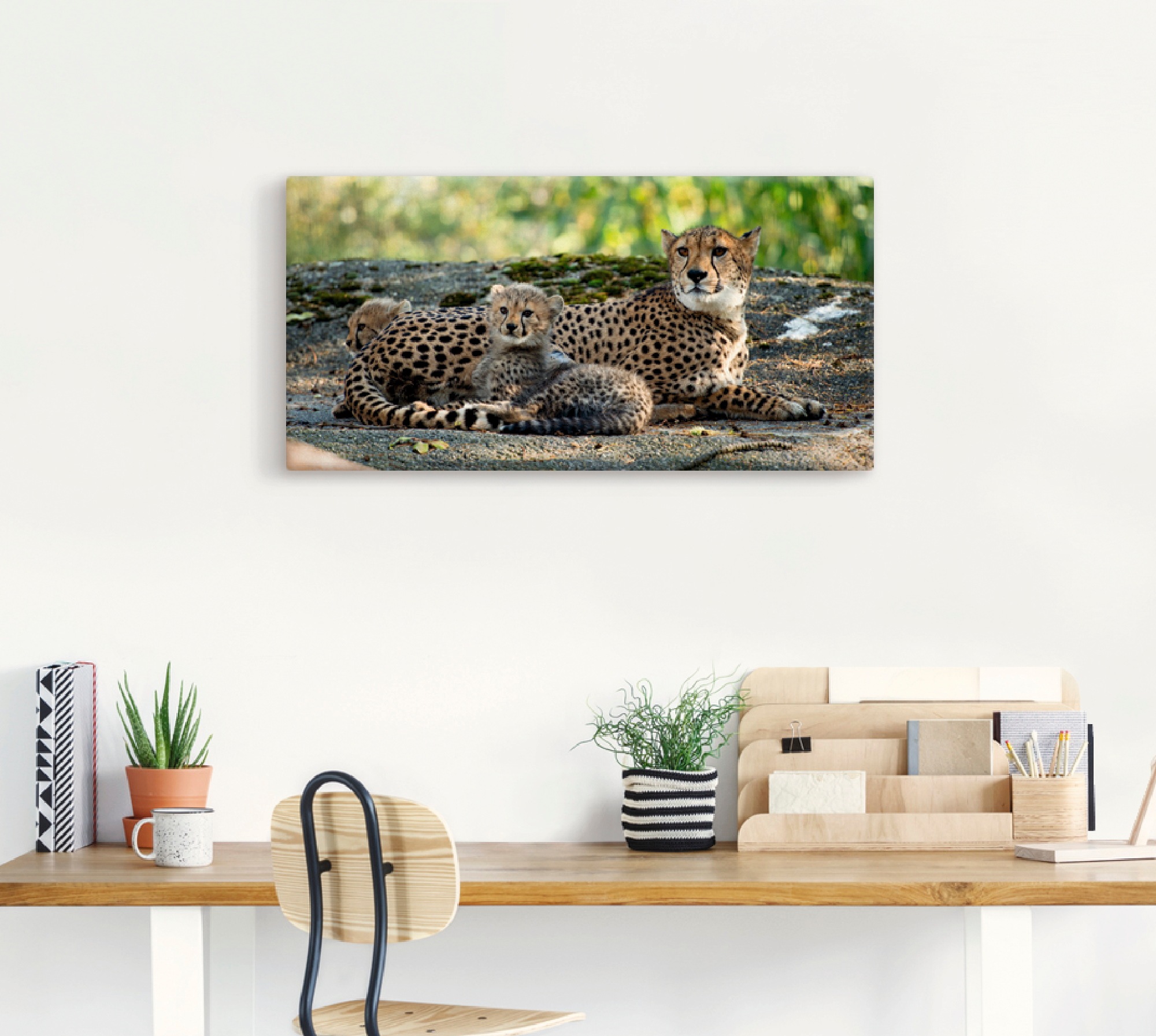 Artland Wandbild »Gepard 2«, Wildtiere, (1 St.), als Leinwandbild, Poster, Wandaufkleber in verschied. Grössen