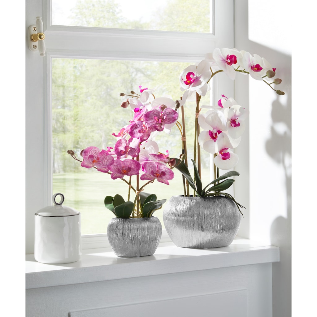 Home affaire Kunstpflanze »Orchidee«