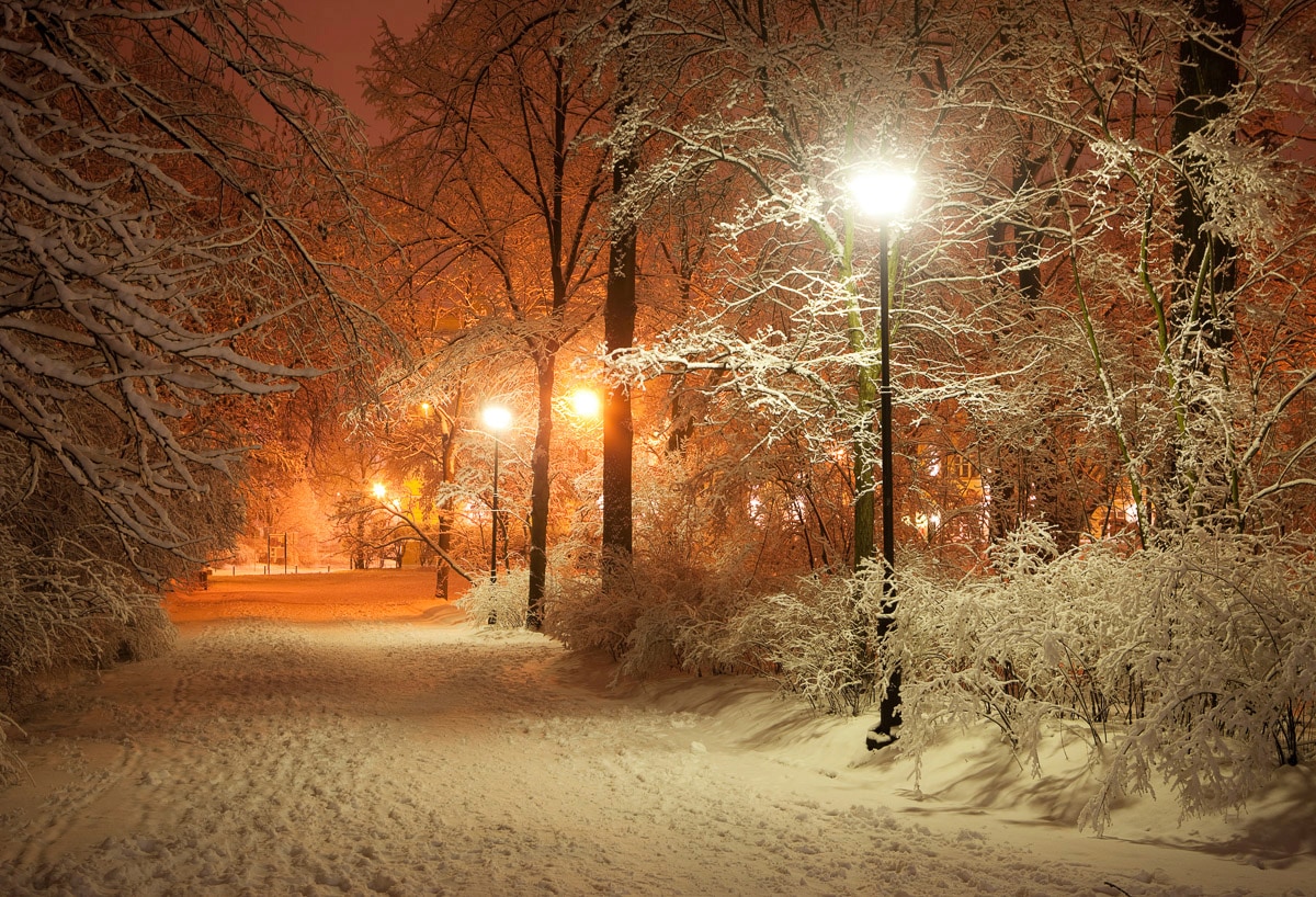 Papermoon Fototapete "Park im Winter"
