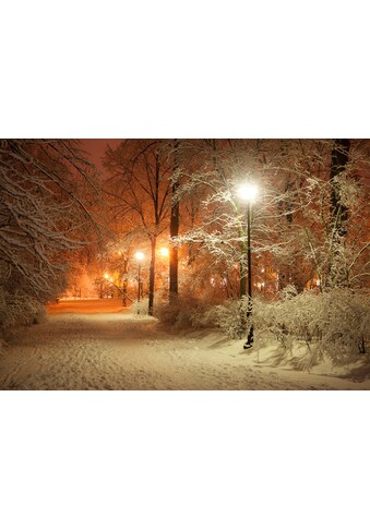 Fototapete »Park im Winter«