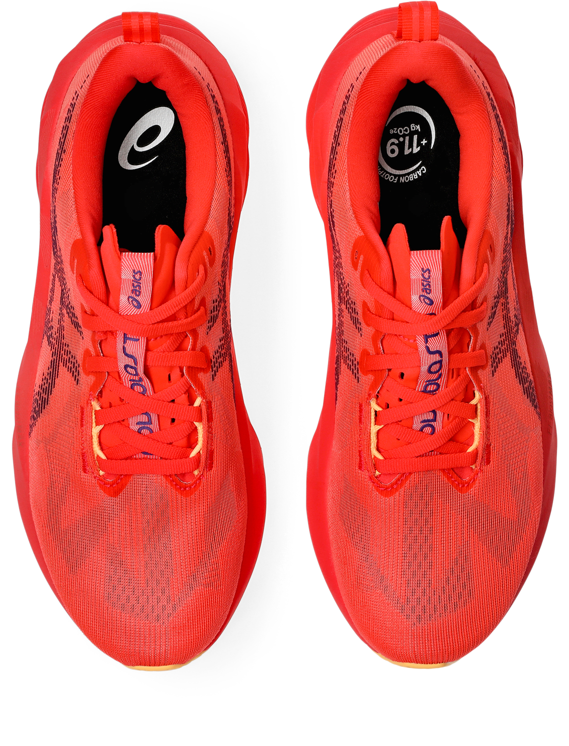 Asics Laufschuh »NOVABLAST 5«