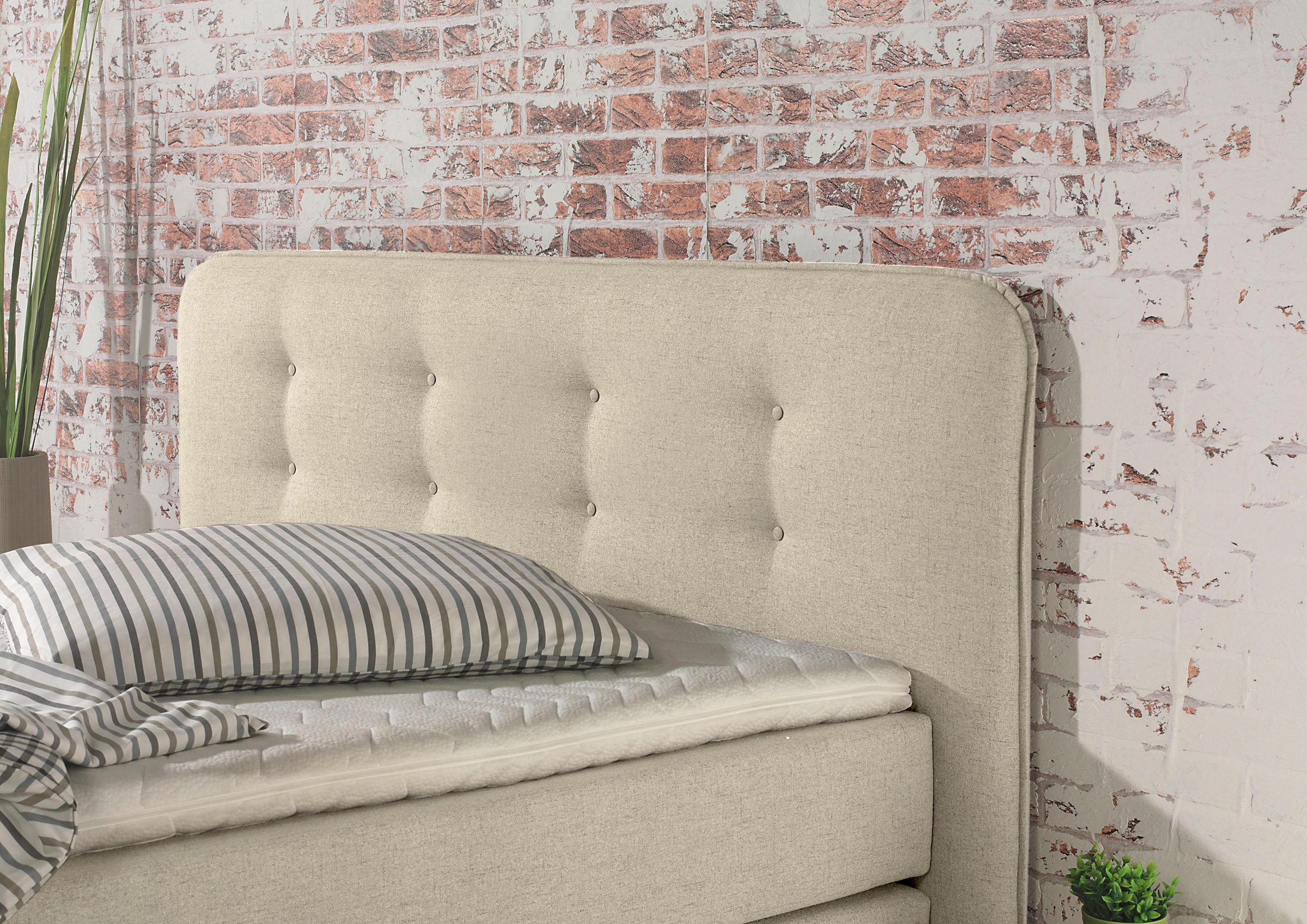 Home affaire Boxspringbett »Cecina« in 5 Breiten, 3 Ausführungen, 2 Härtegrade, Knopfheftung, Topper