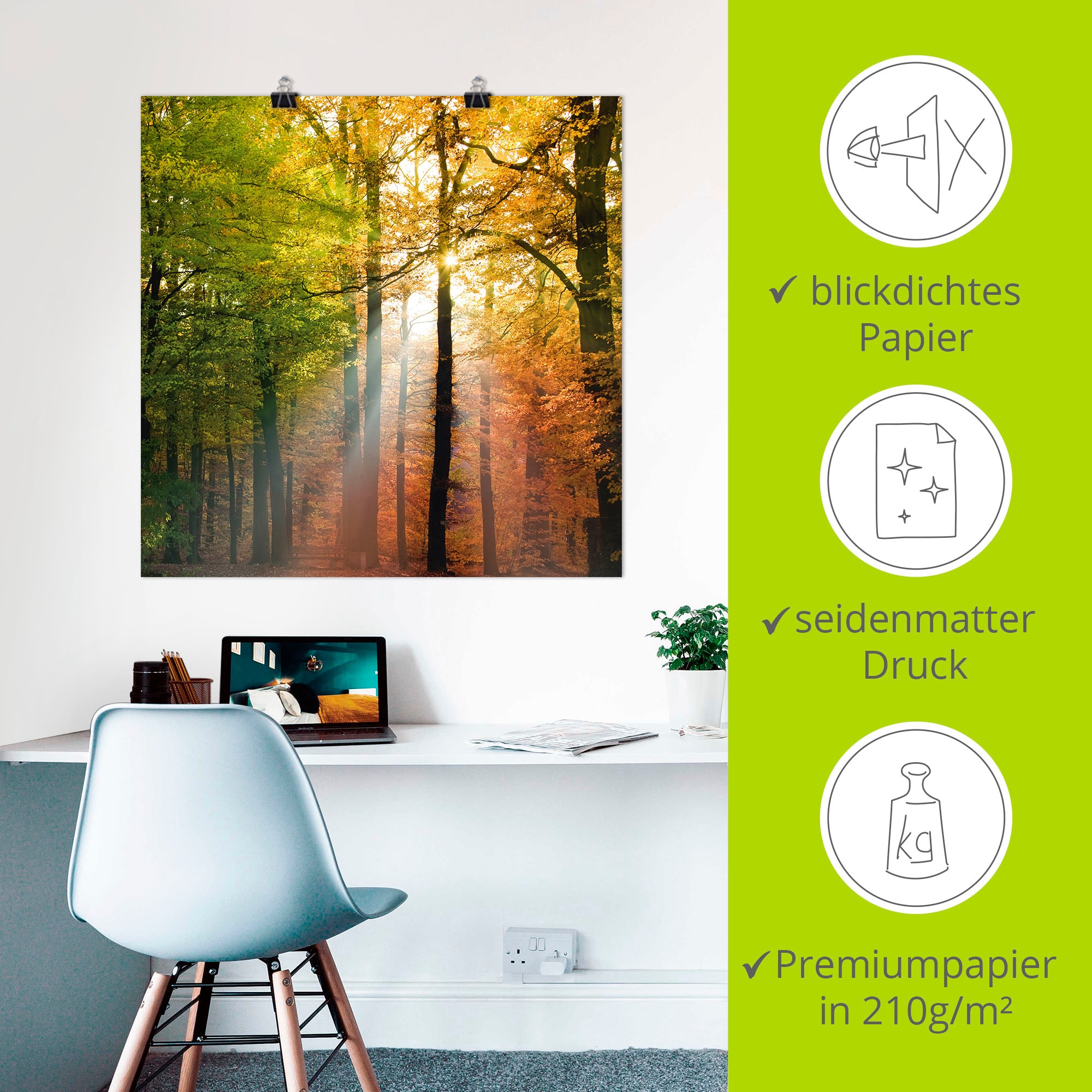 Artland Wandbild »Schöner Herbsttag 2«, Wald, (1 St.), als Alubild, Outdoorbild, Leinwandbild, Poster in verschied. Grössen