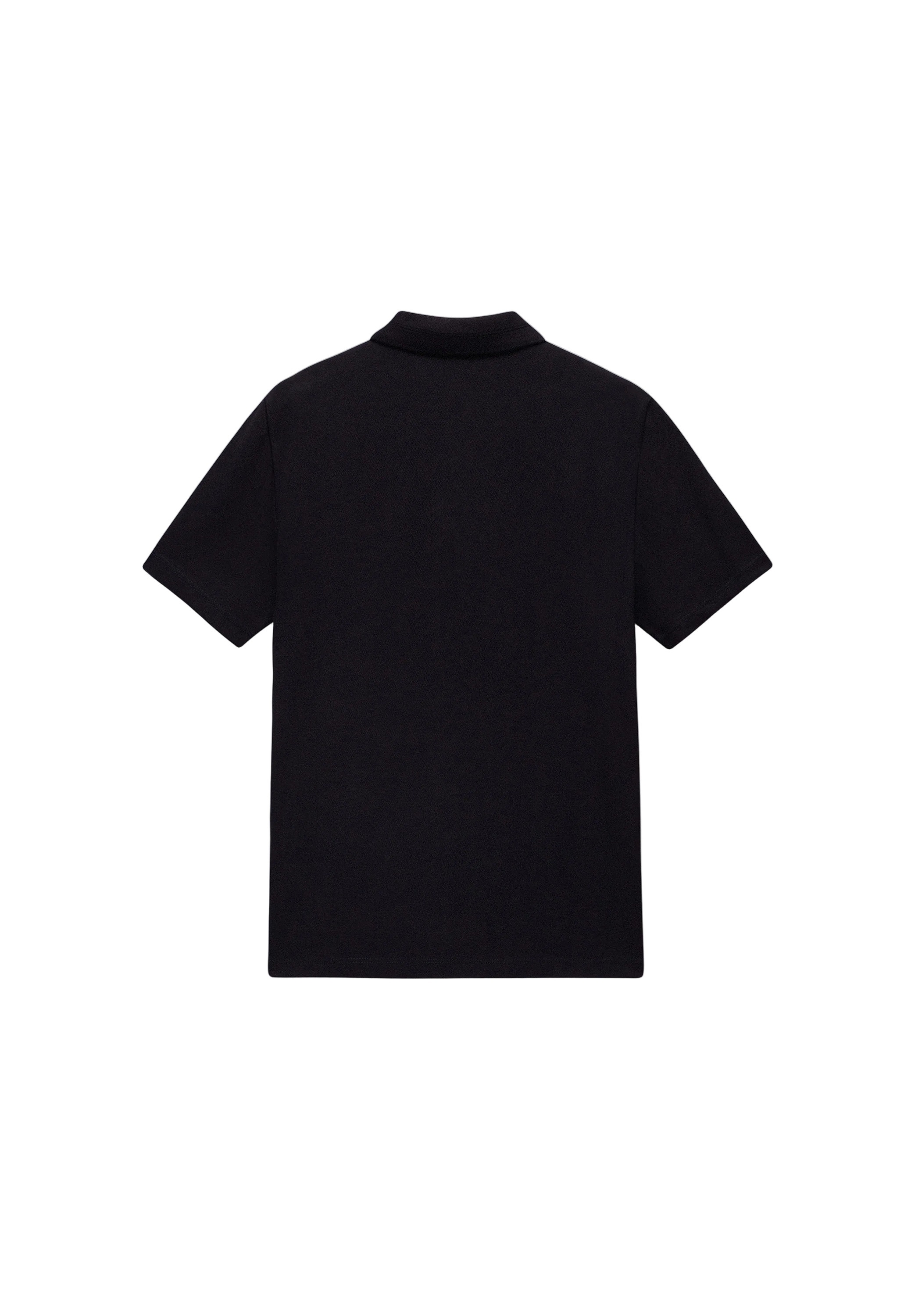 Napapijri Poloshirt »Napapijri Polo EALIS SS«