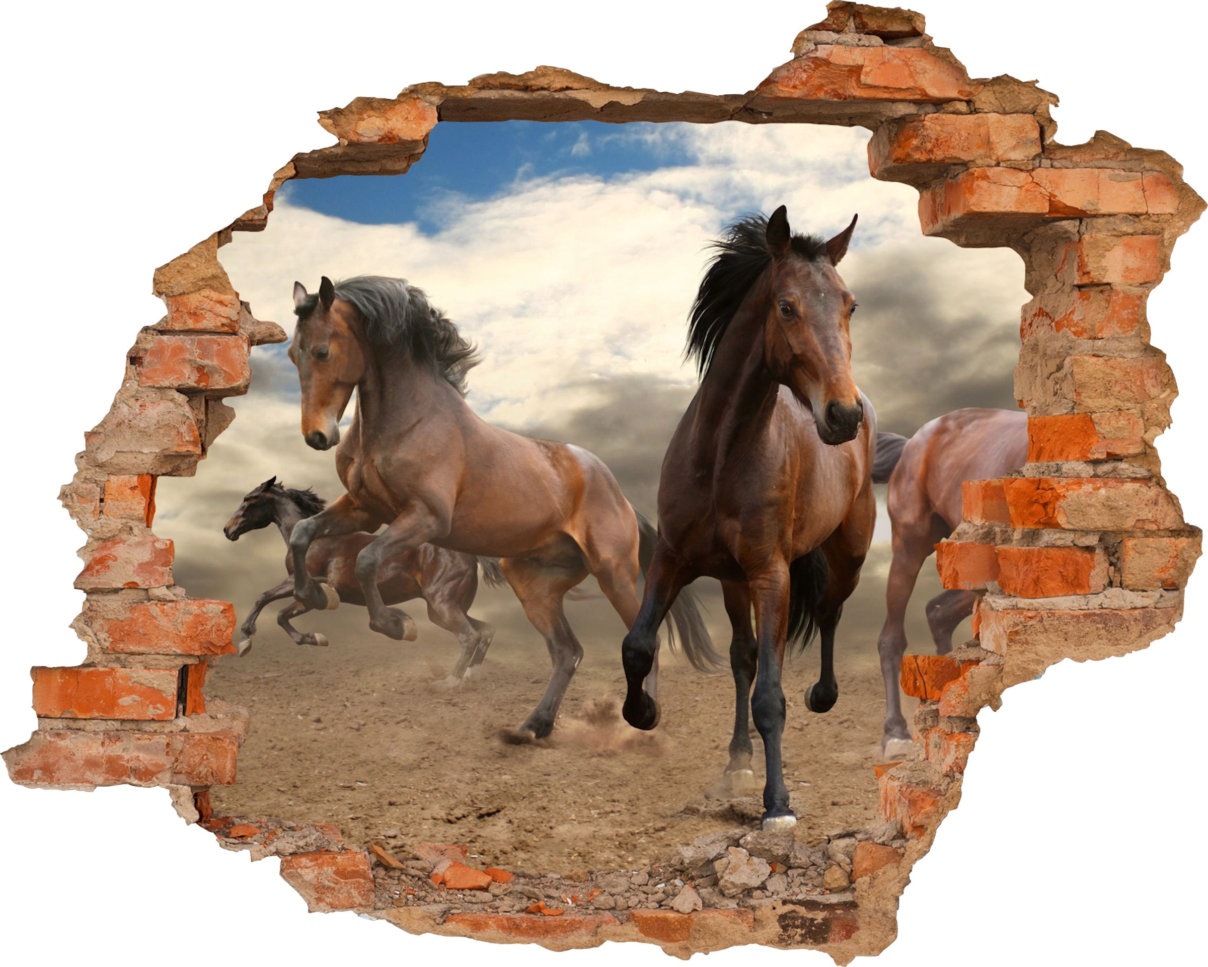 Image of Conni Oberkircher´s Wandsticker »Horses - Pferde«, selbstklebend, Reiten bei Ackermann Versand Schweiz