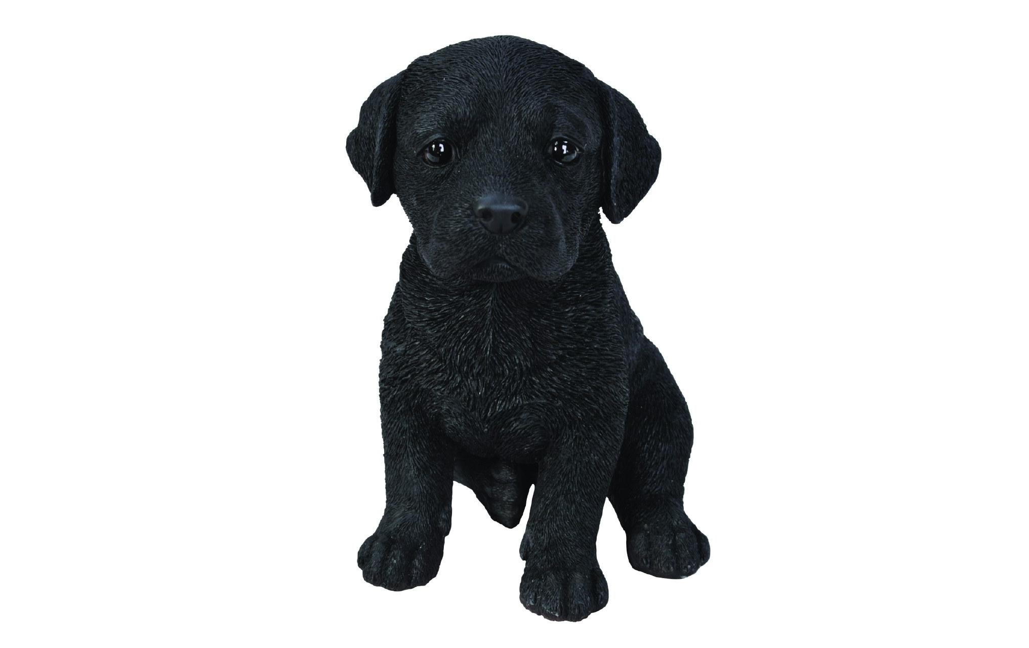 Image of Dekofigur "Vivid Arts Labrador Welpe, Schwarz"