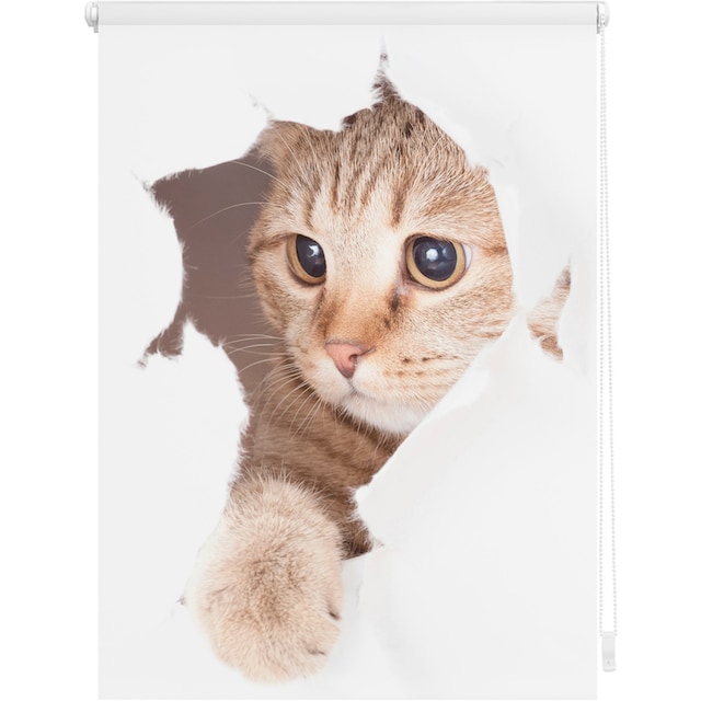LICHTBLICK ORIGINAL Seitenzugrollo »Klemmfix Digital Katze«, verdunkelnd,  energiesparend, ohne Bohren, freihängend, bedruckt kaufen
