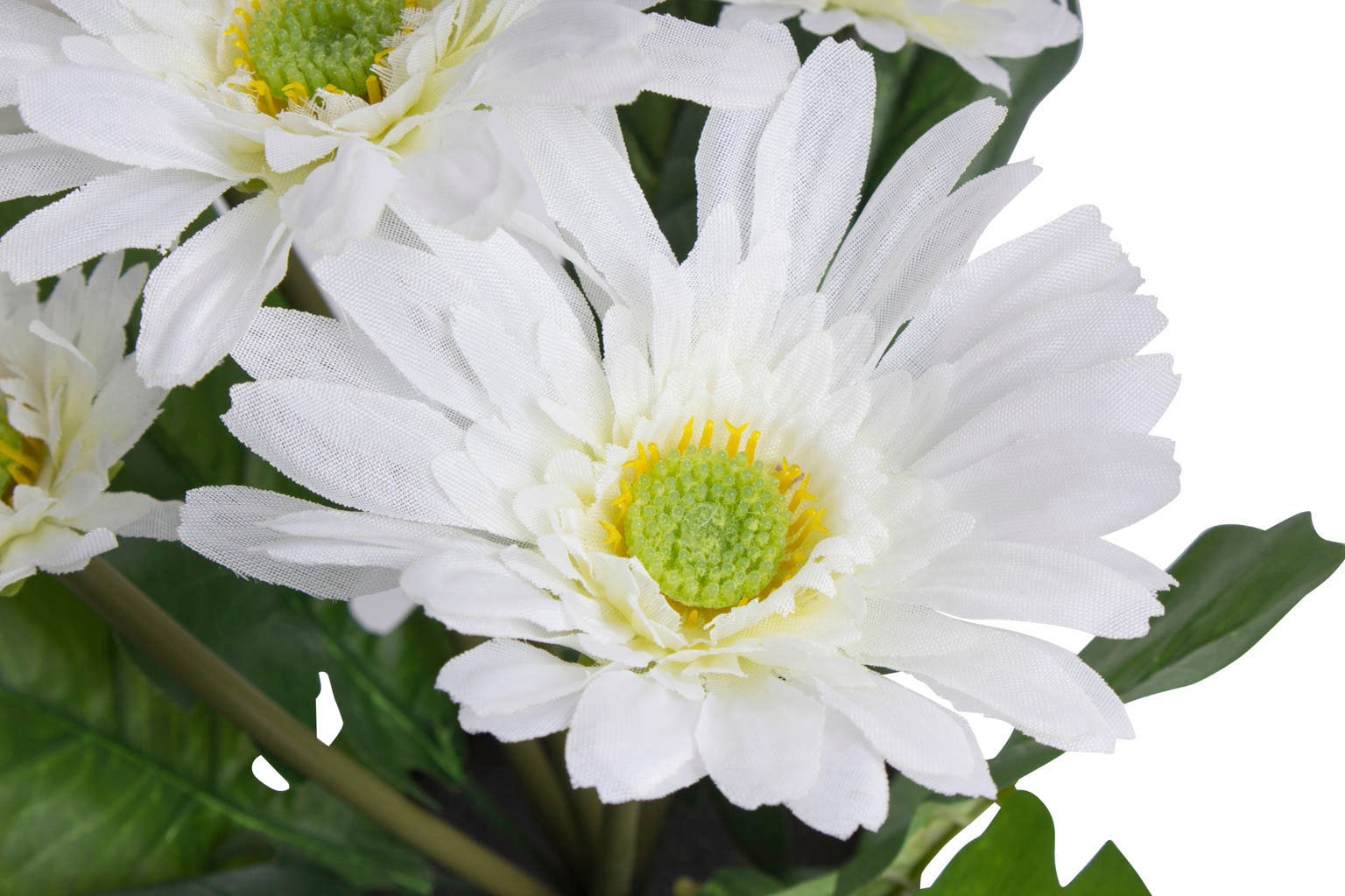 Botanic-Haus Kunstblume »Gerbera mit 5 Blüten«