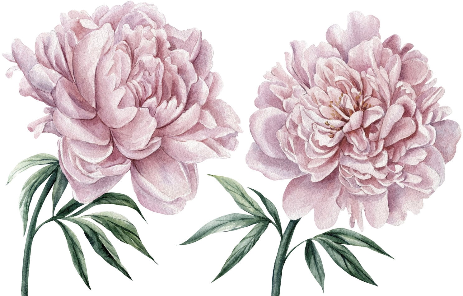 Image of queence Wandtattoo "Lilly" Wandbild, Sticker, rosa, Blume, Blüte, selbstklebend, Pastellfarben